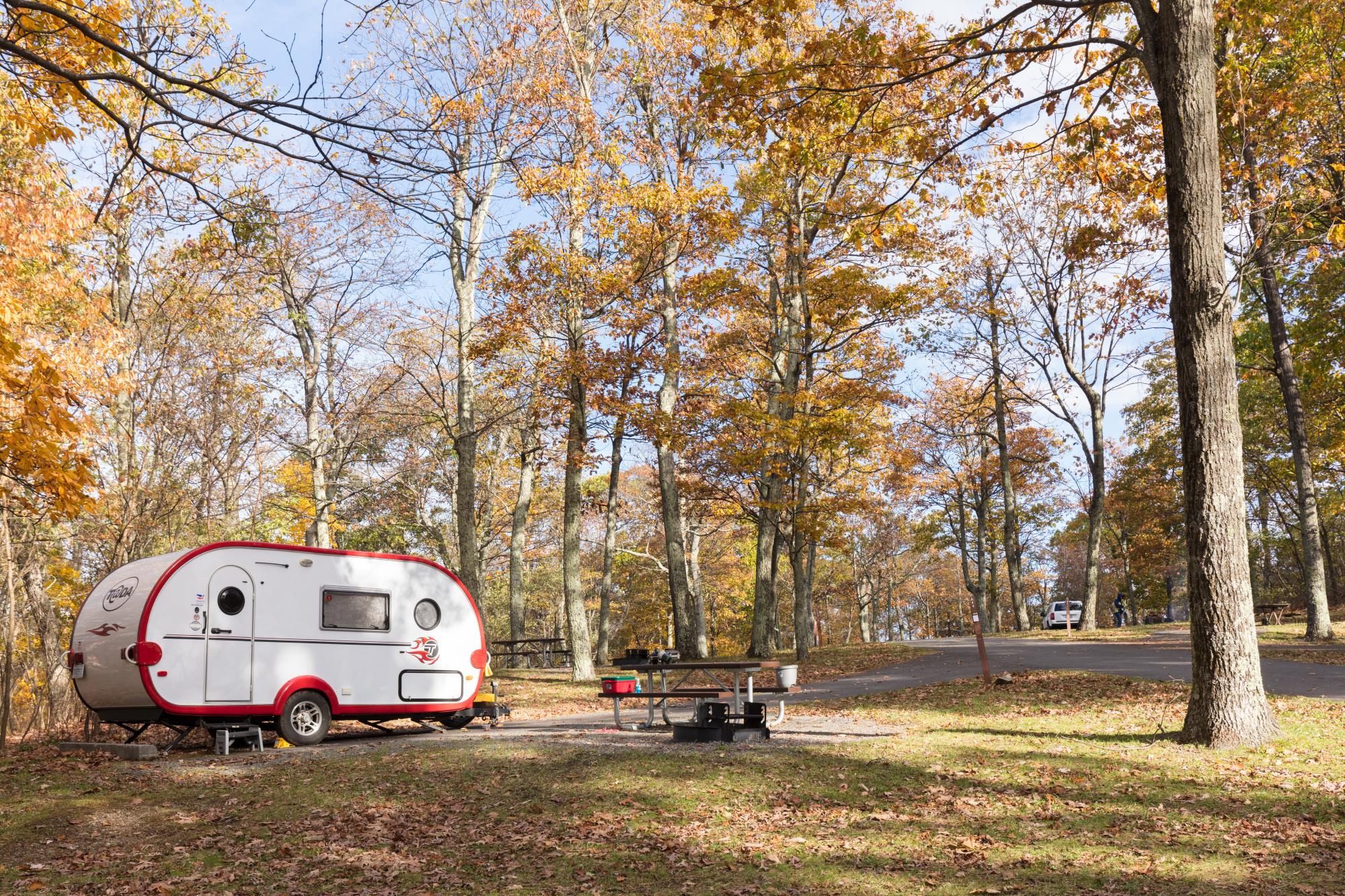 A white and red camper sits in a campsite under fall foliage.