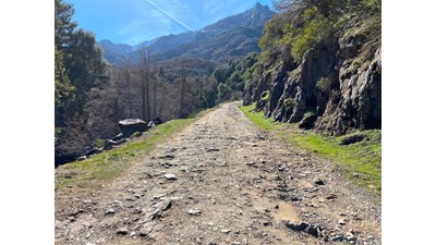 A rugged, one-lane section of the South Fork Road.