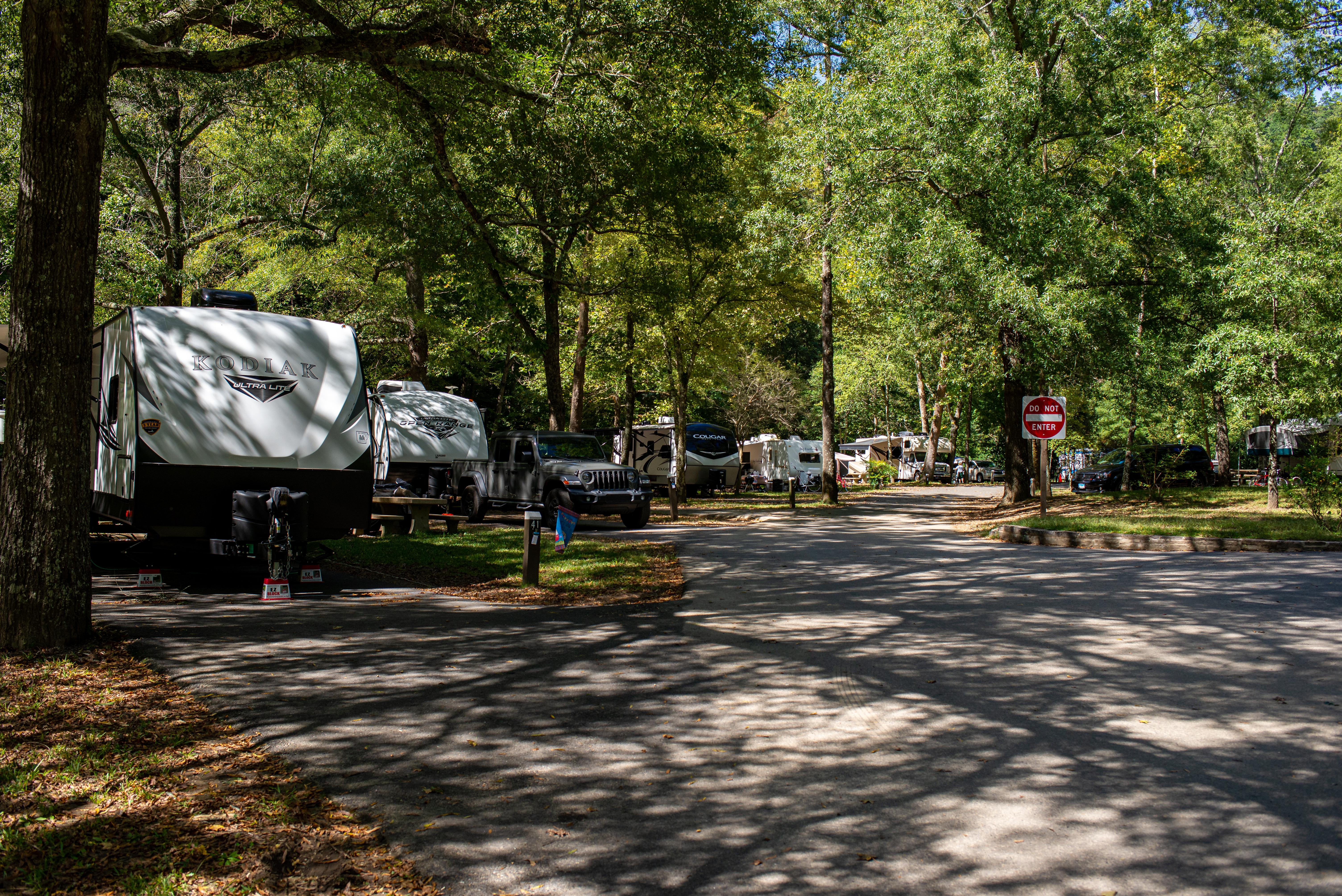 RV's lined up on the campground