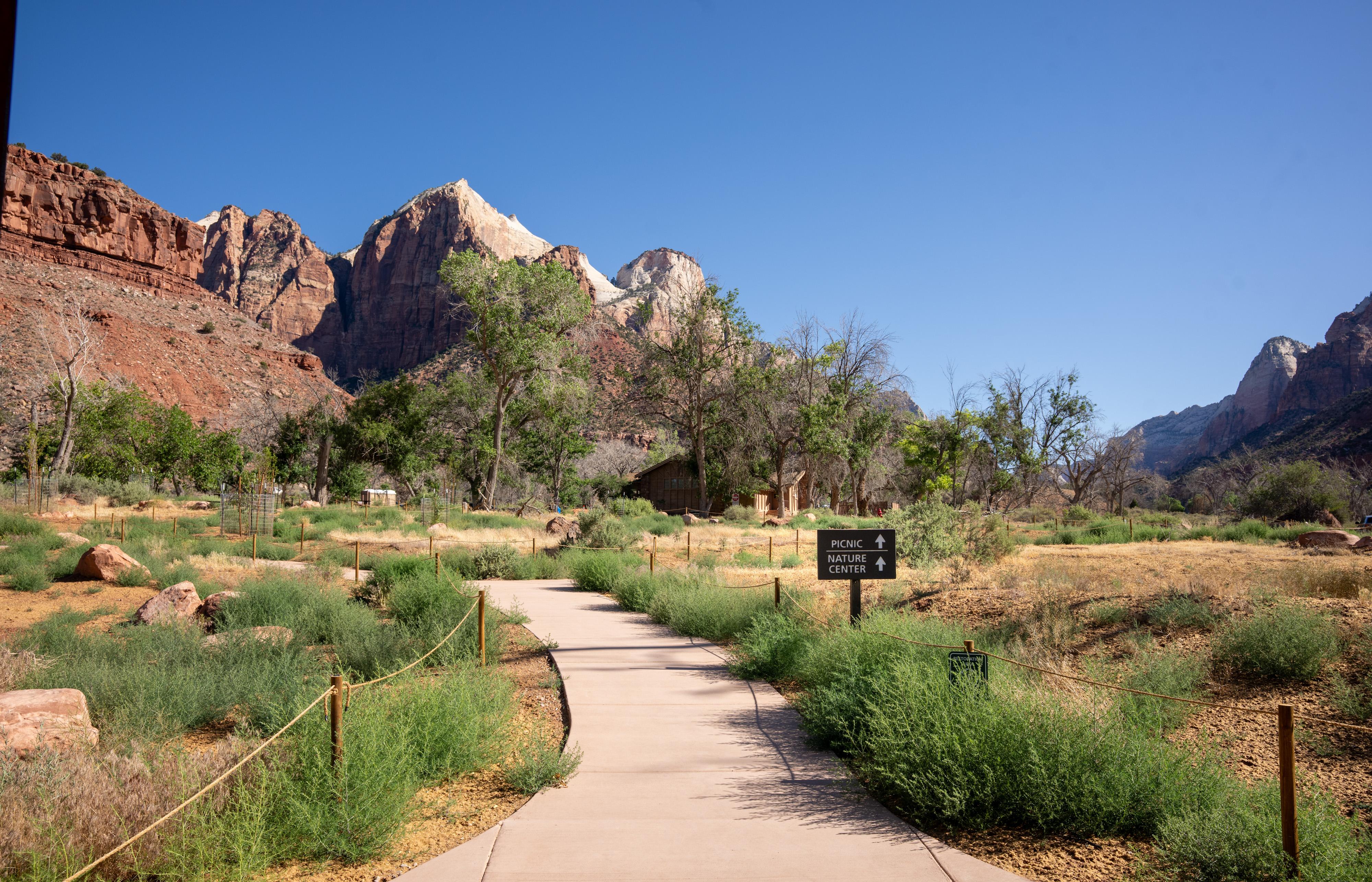 Paved paths are lined with grasses and small shrubs. A sign reads "Picnic & Nature Center."