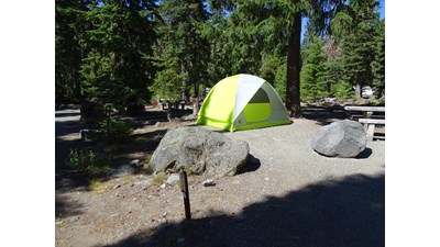 A large green tent with trees in the background.