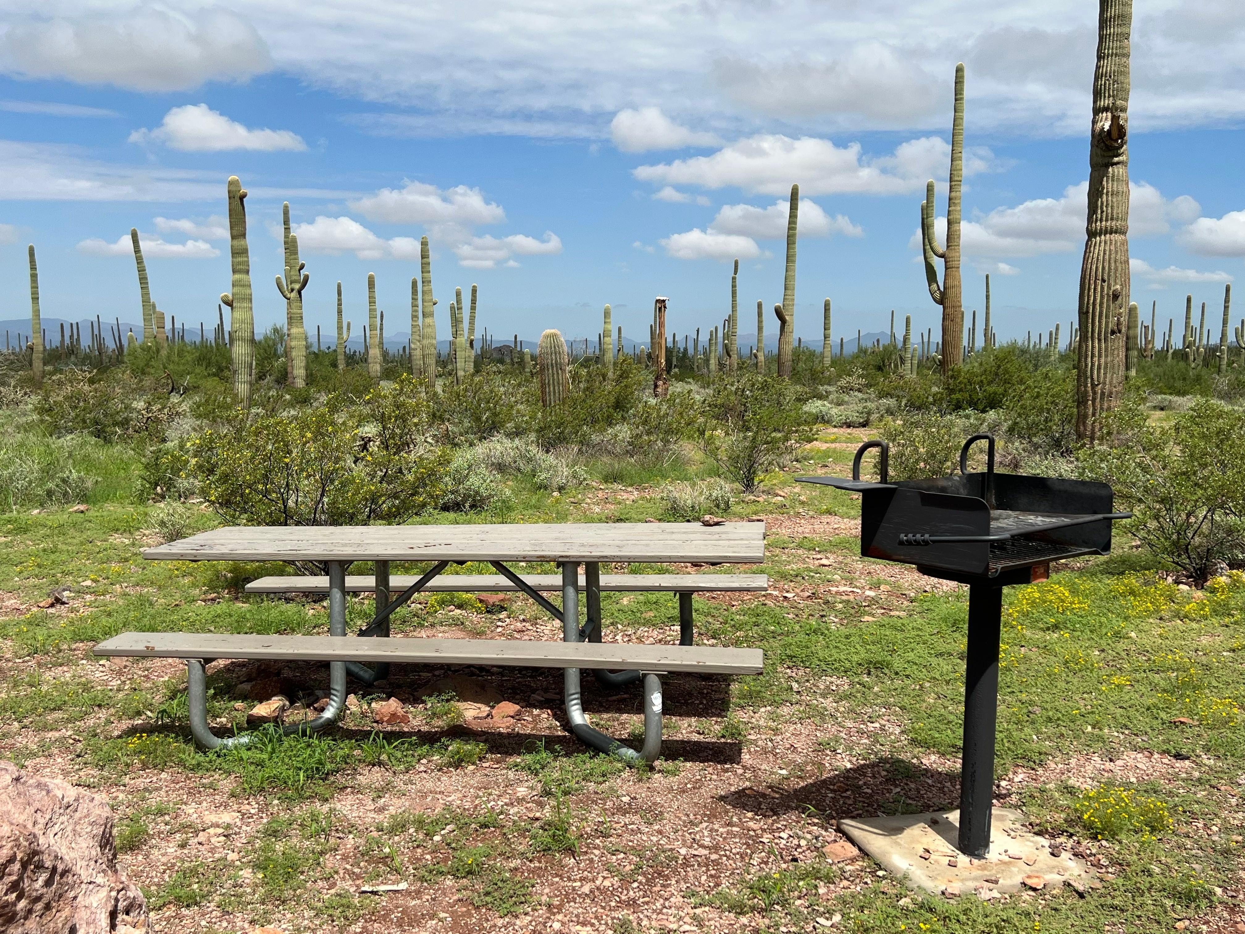 Photo of a picnic table and charcoal grill from a campsite