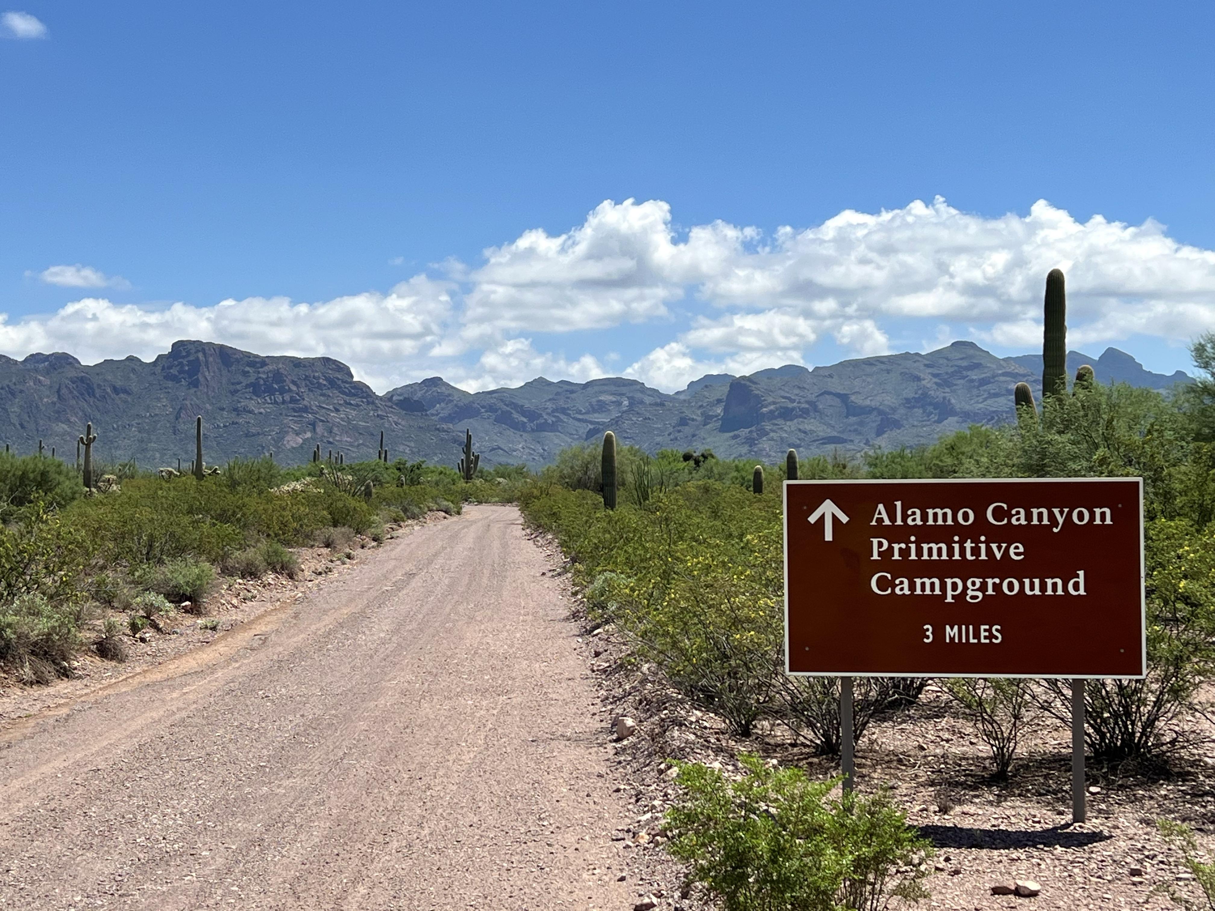 The road sign for Alamo Canyon Campground points down a dirt road