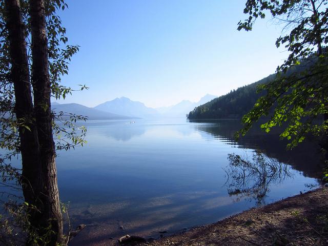 shoreline of mountain lake surrounded by forest