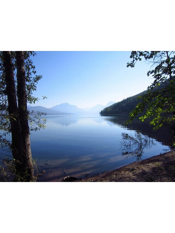 shoreline of mountain lake surrounded by forest