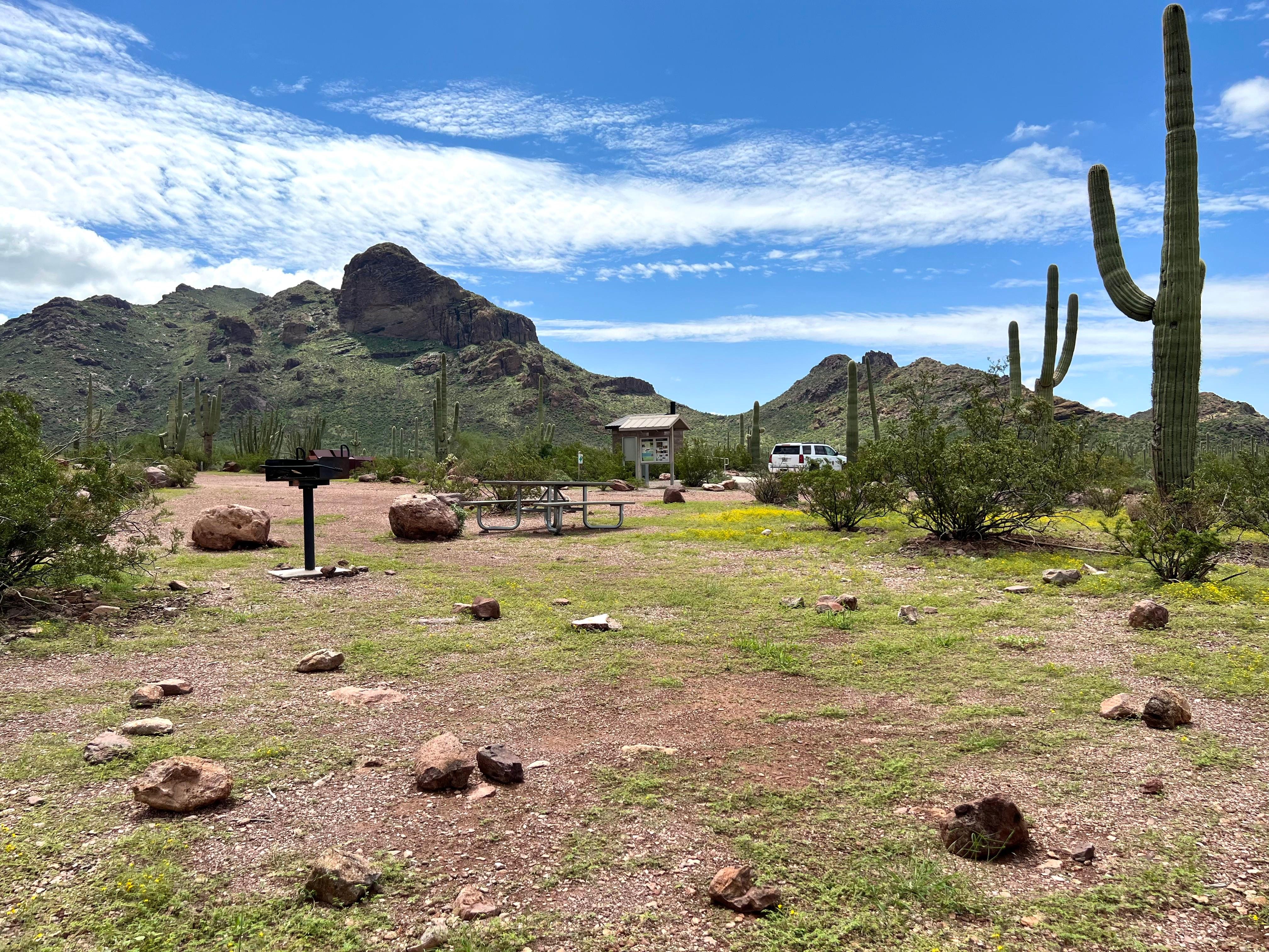 A circle of rocks indicate the location of a tent site at the campground