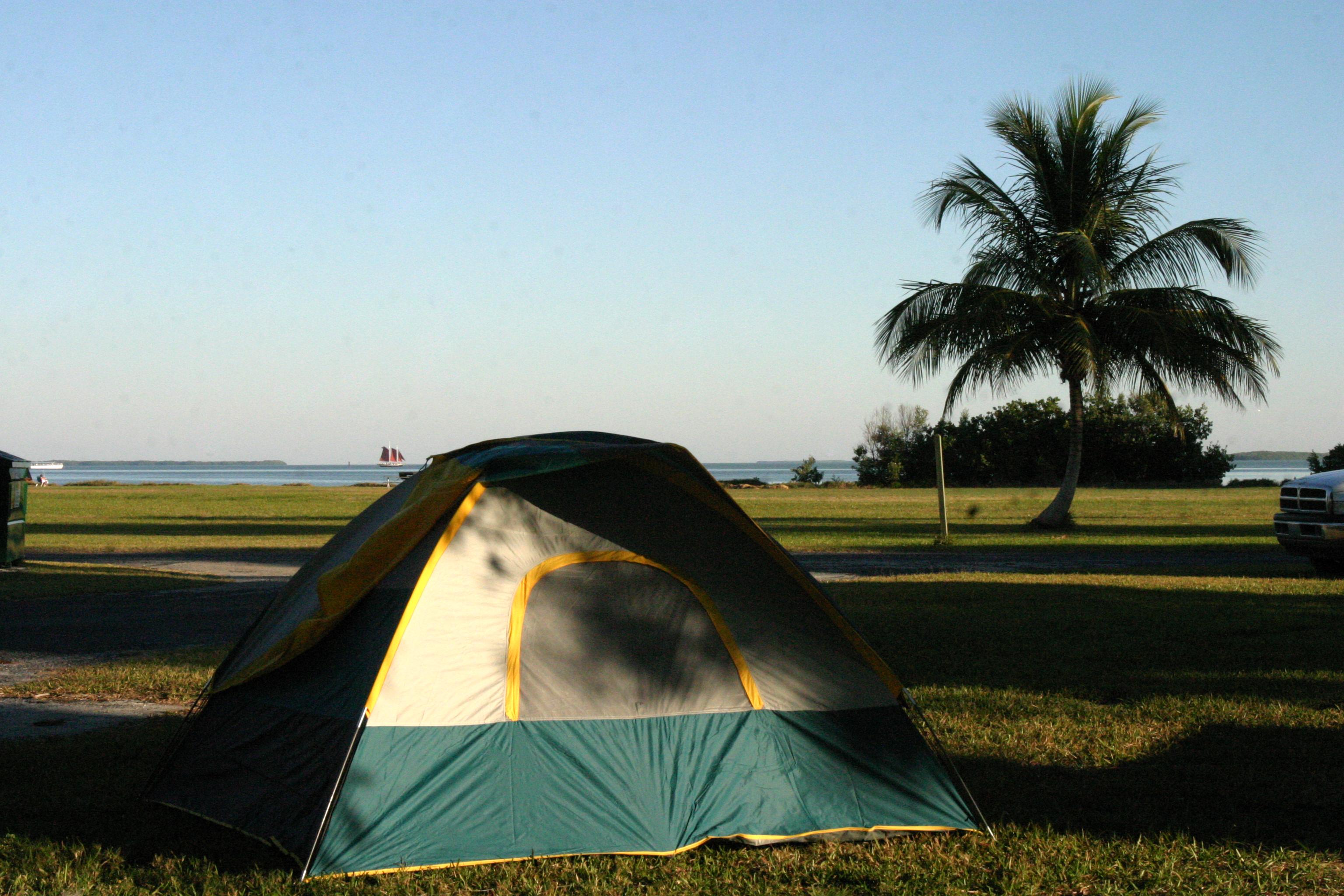 A blue, gray and yellow tent is pitched on the grass. Palm tree and open field are behind it.