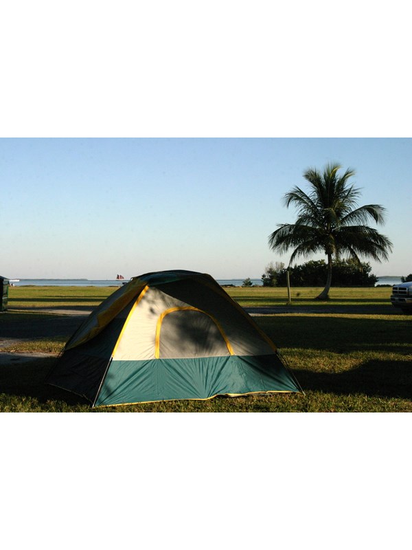 A blue, gray and yellow tent is pitched on the grass. Palm tree and open field are behind it.