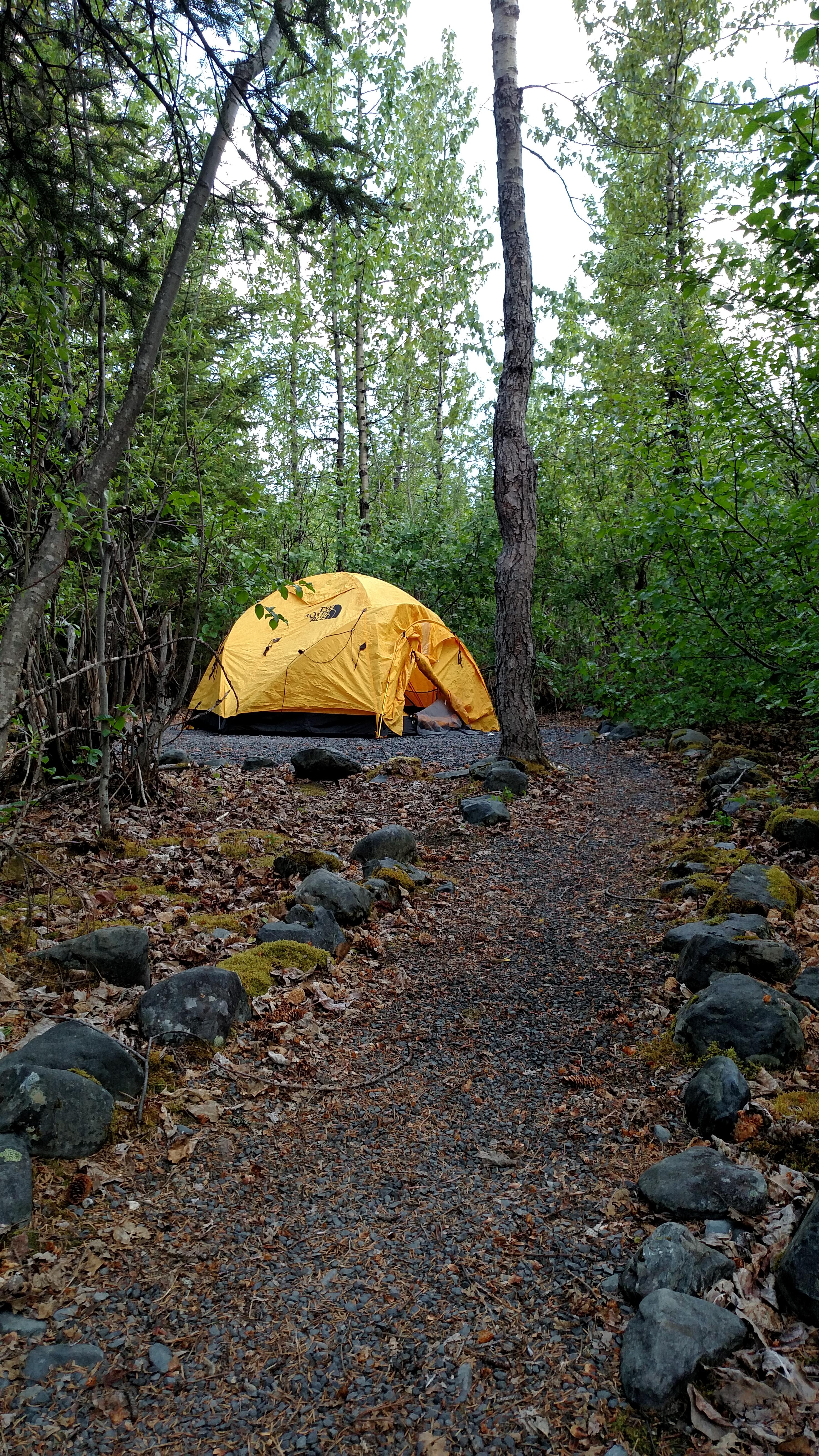 Tent in a campsite clearing