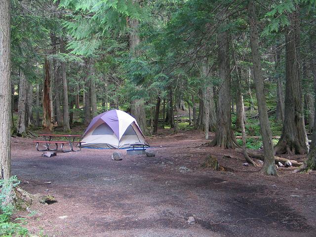 tent, picnic table, and fire ring in forest site