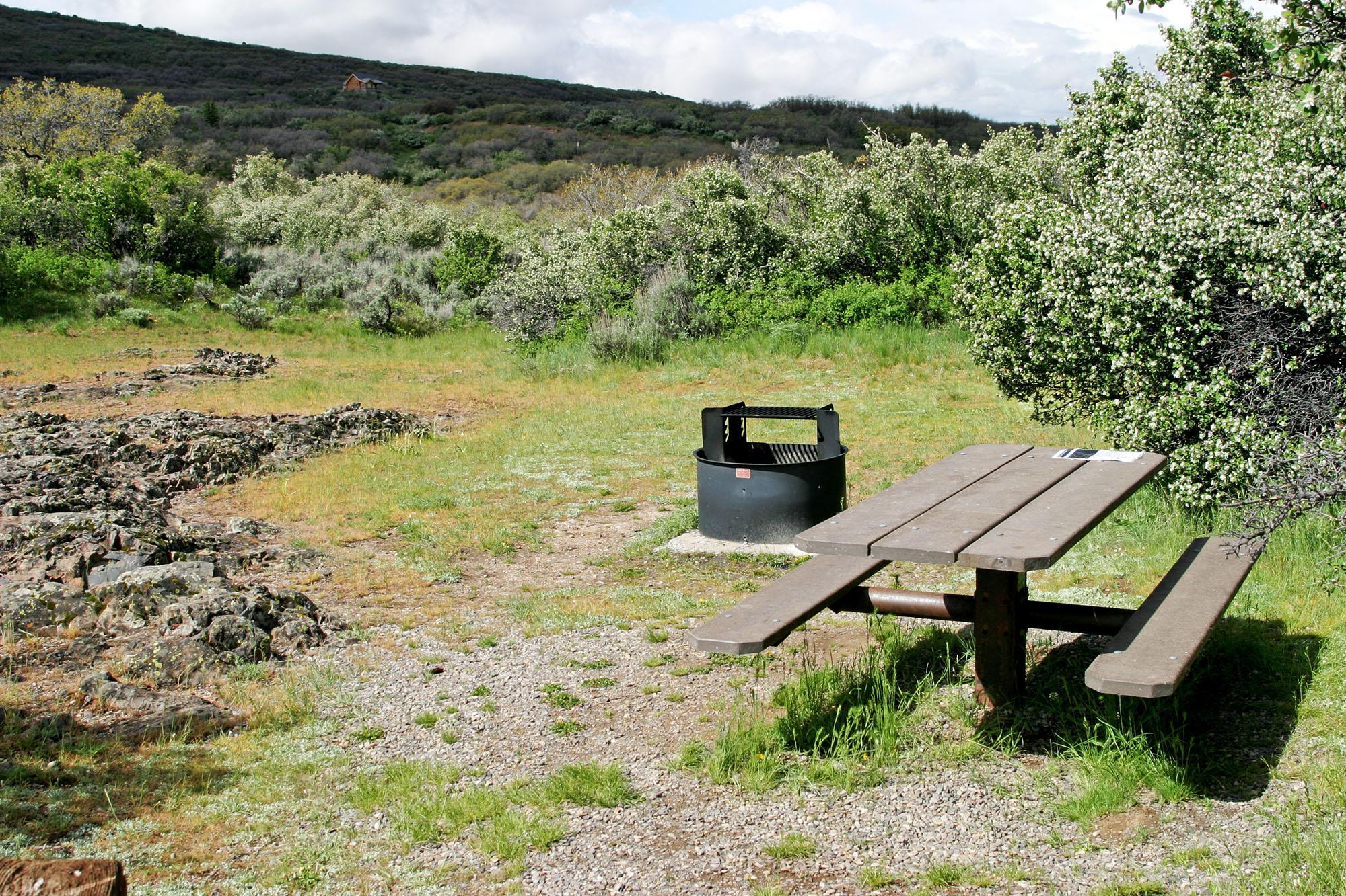 picnic table and fire pit in a grassy clearing among the brush