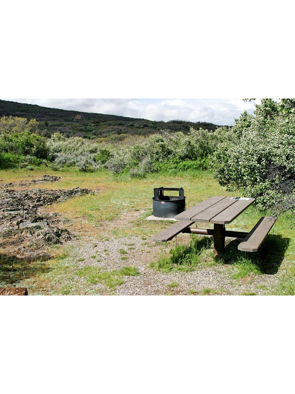picnic table and fire pit in a grassy clearing among the brush
