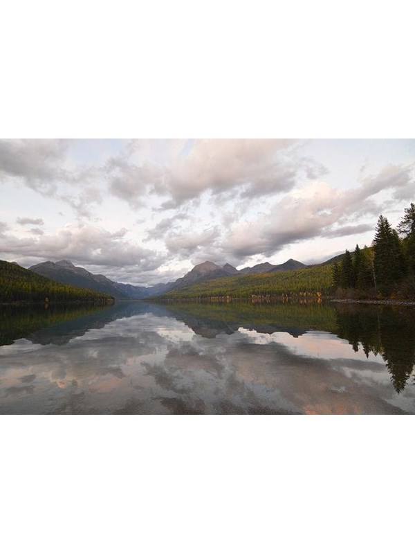 clouds, conifer forest and mountains reflected in lake