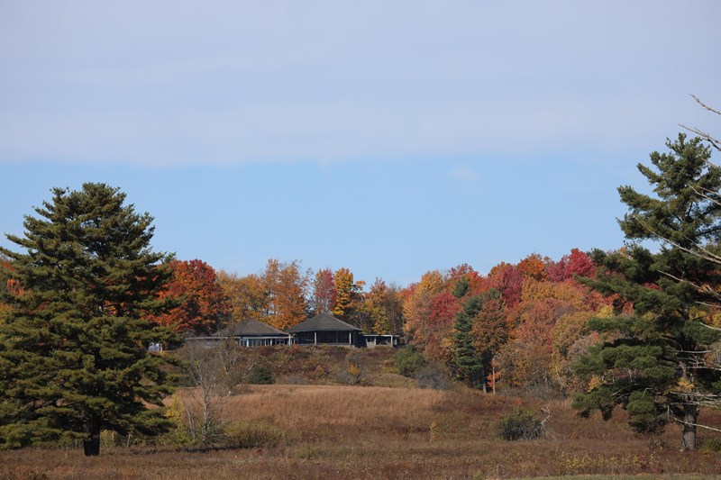 A building shaped like two low, adjoining mushrooms sits atop a hill surrounded by fall foliage.