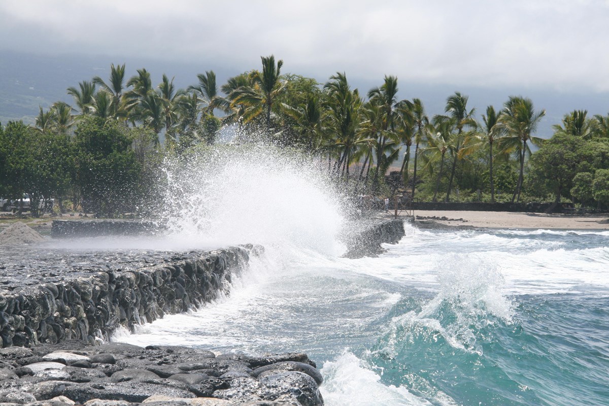 A blue ocean wave strikes a low stone wall in front of palm trees and sends spray upwards