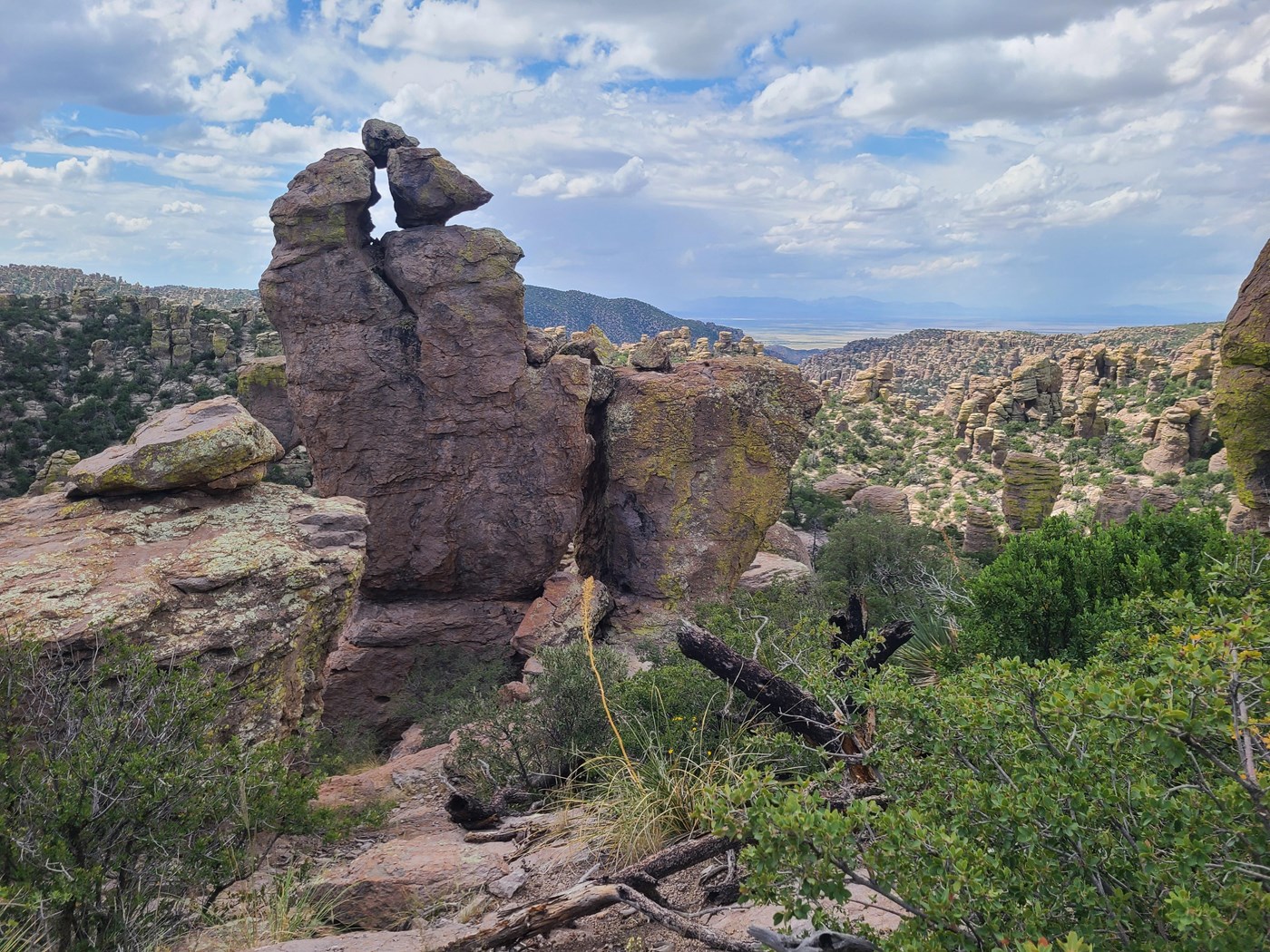 Many rock pinnacles with a valley and mountain range in background