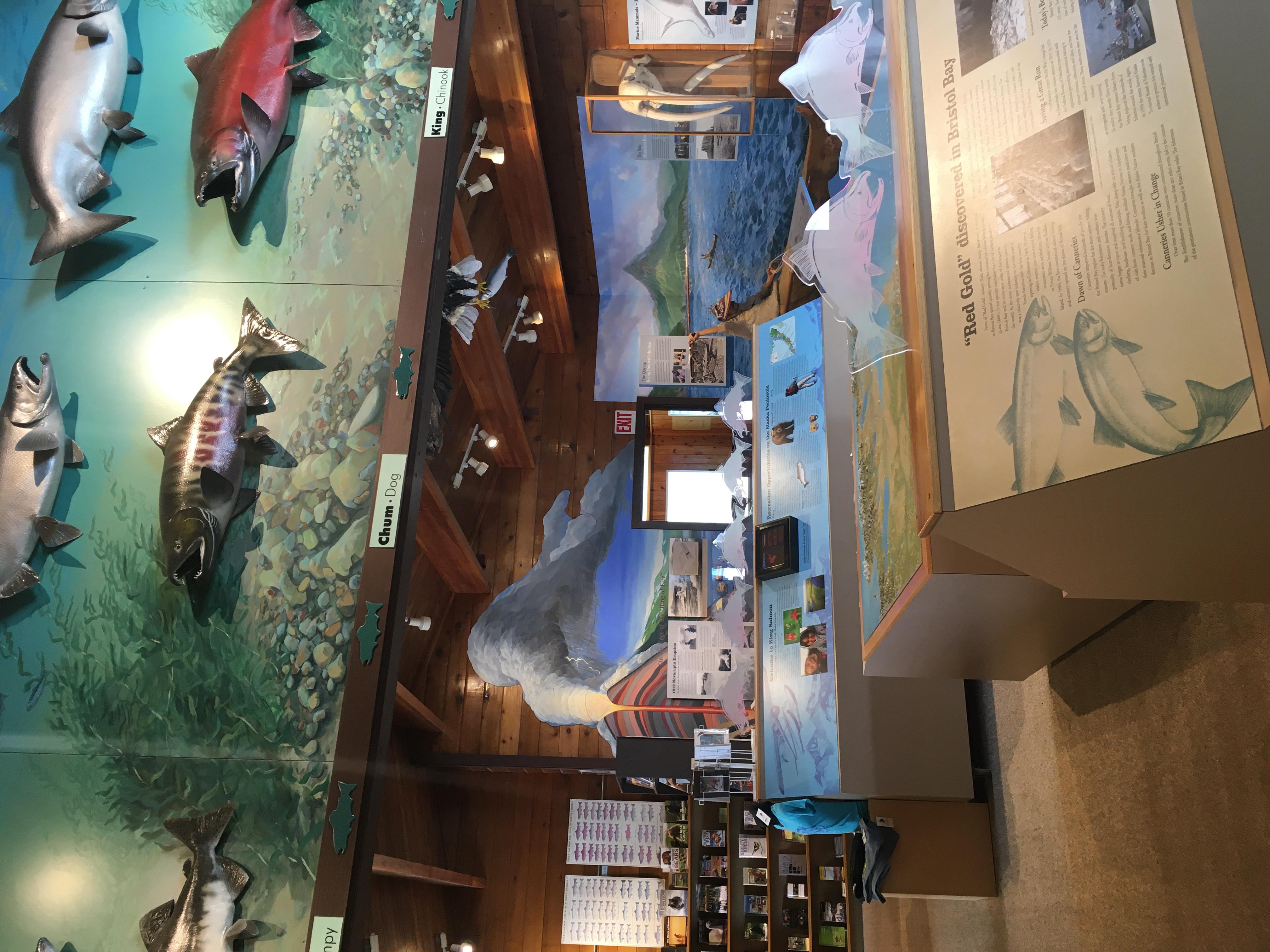 Exhibits showing resources of the King Salmon, Alaska area and a bookstore in the background.