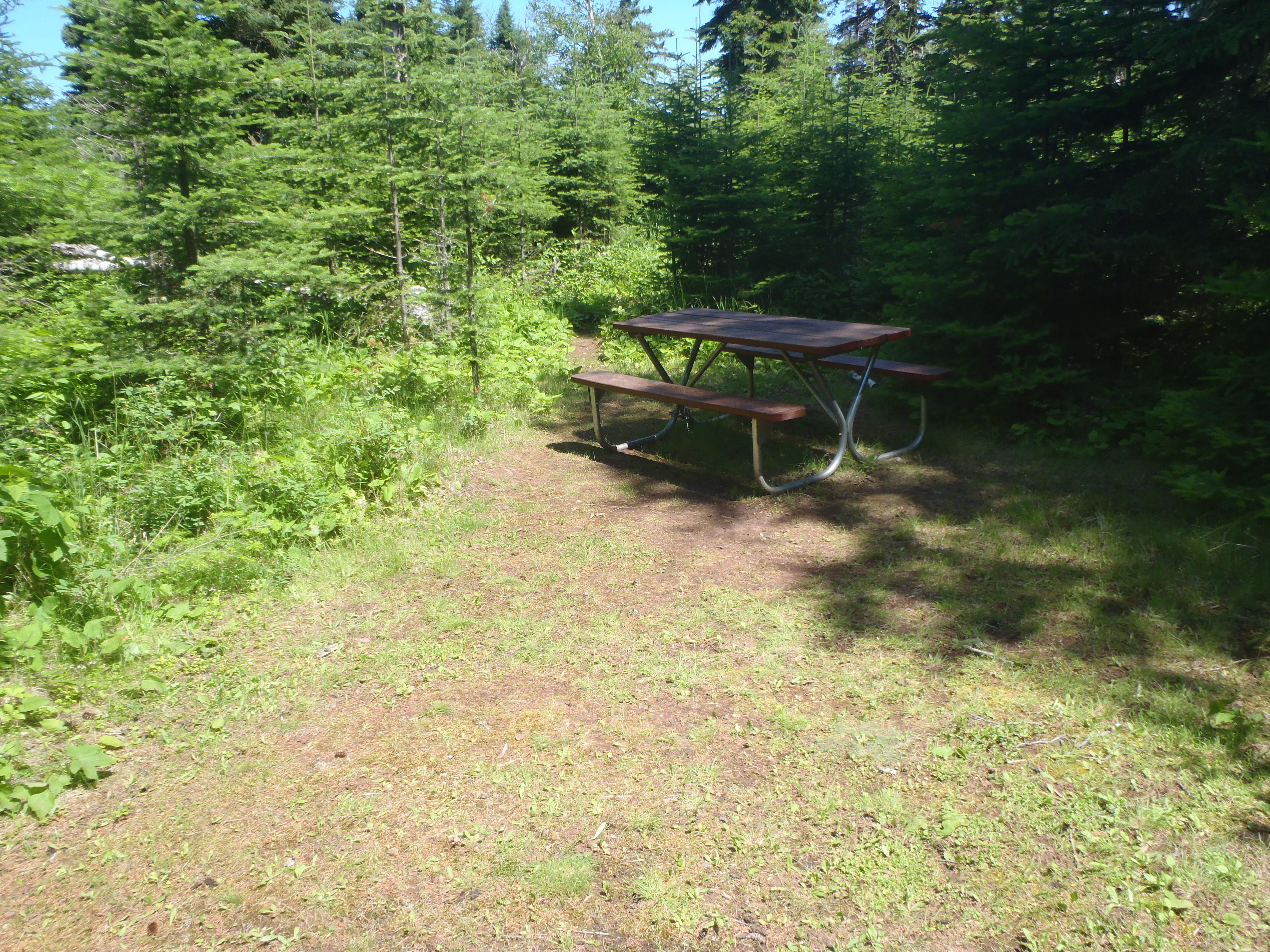 Cleared area with a picnic table surrounded by trees.