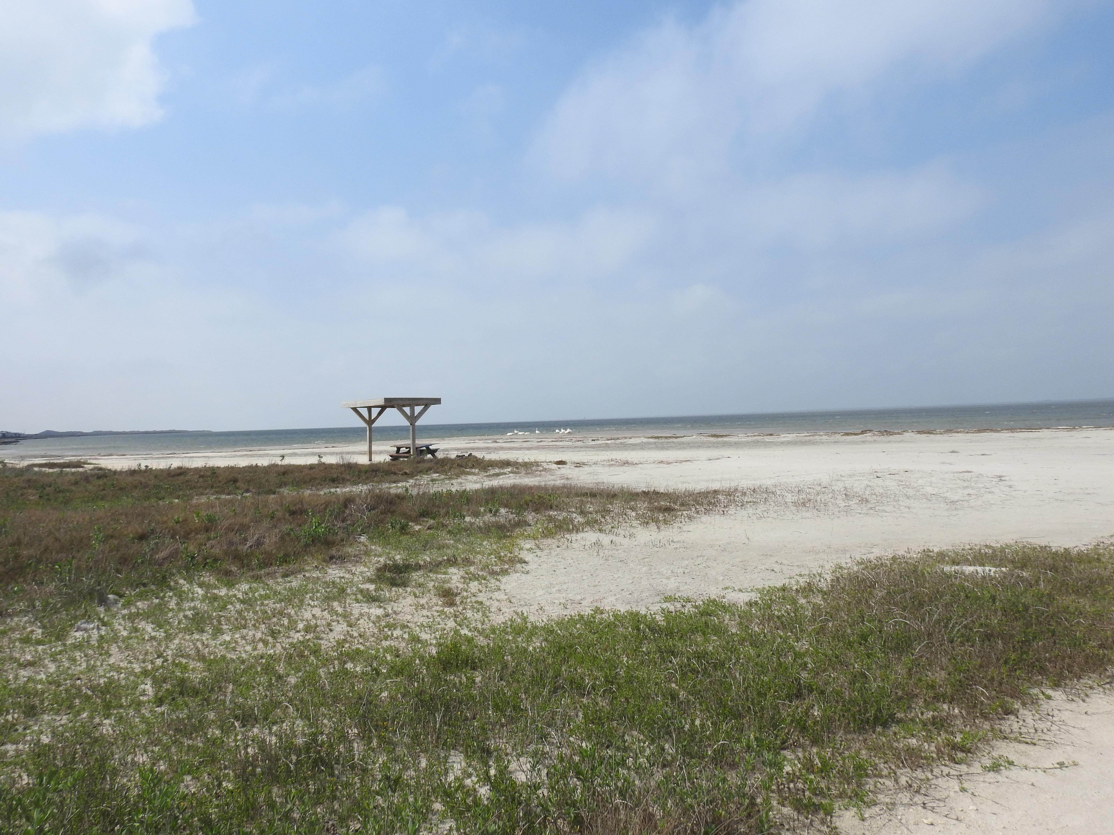 An flat sandy area partially covered in grass with a cloudy blue sky over laguna Madre