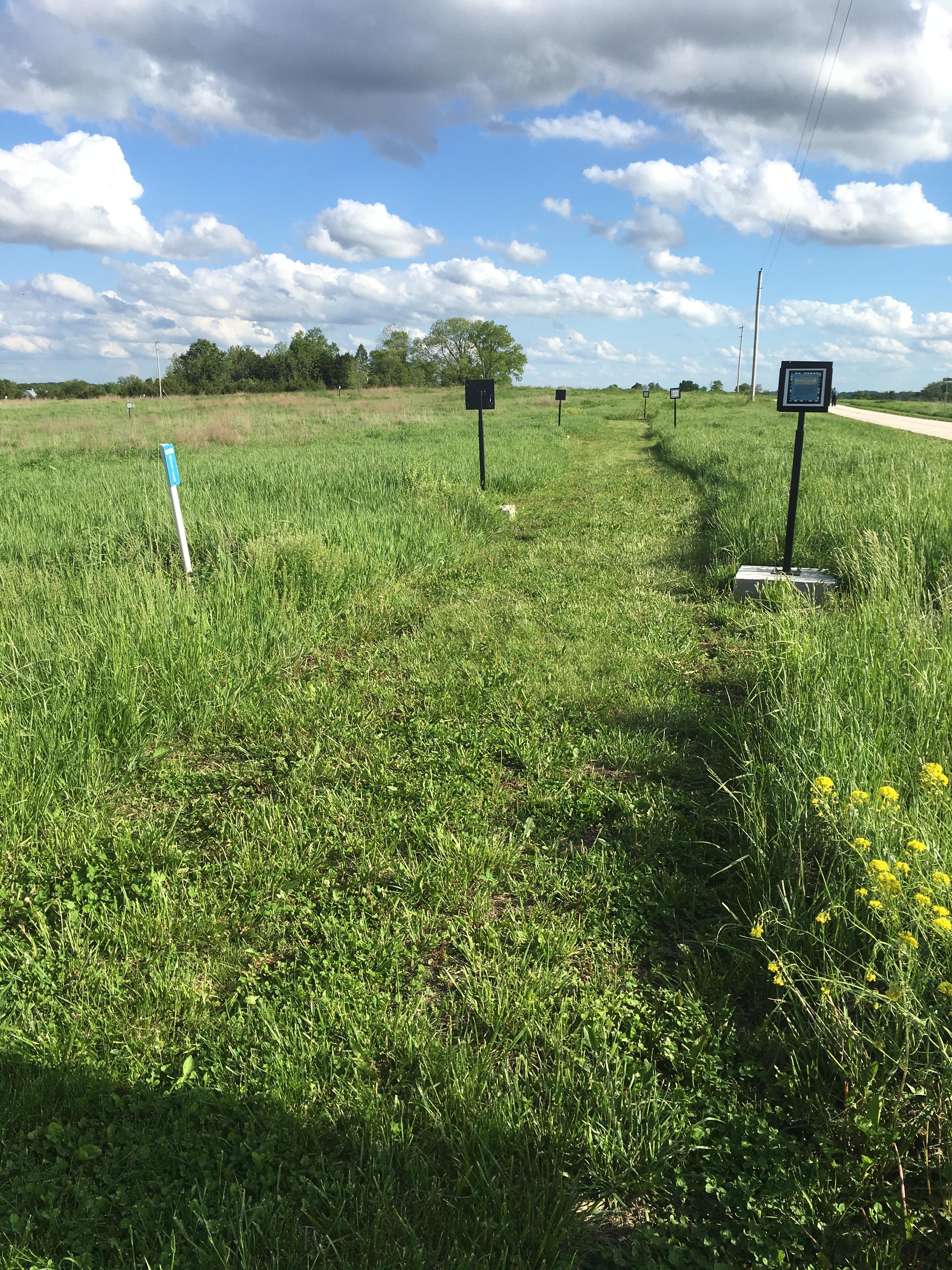 A mowed path through prairie. There are numbered signs along the trail.