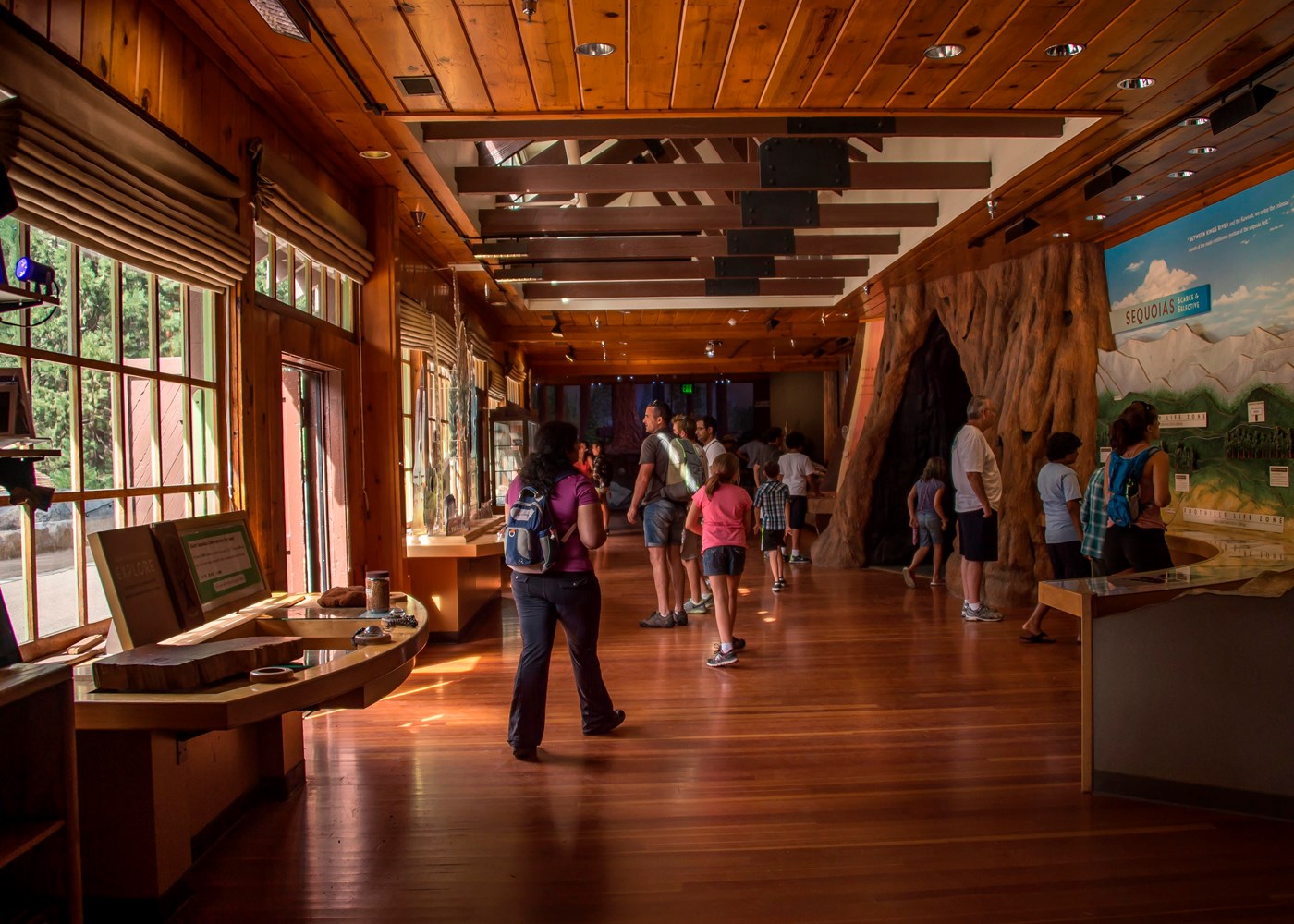Several visitors walk around and examine exhibits in the Giant Forest Museum