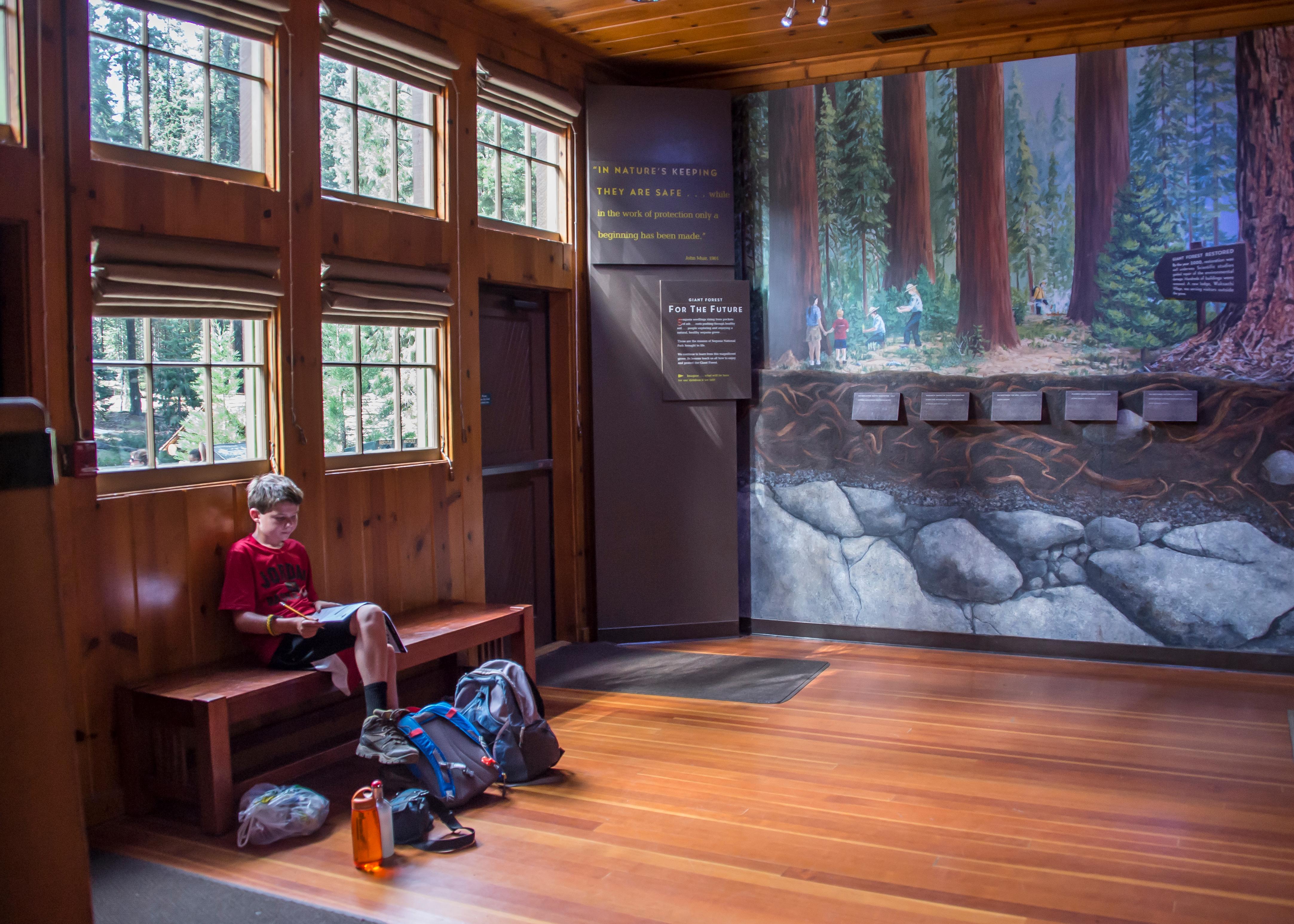 A young boy sits on a bench next to a wall mural and reads.