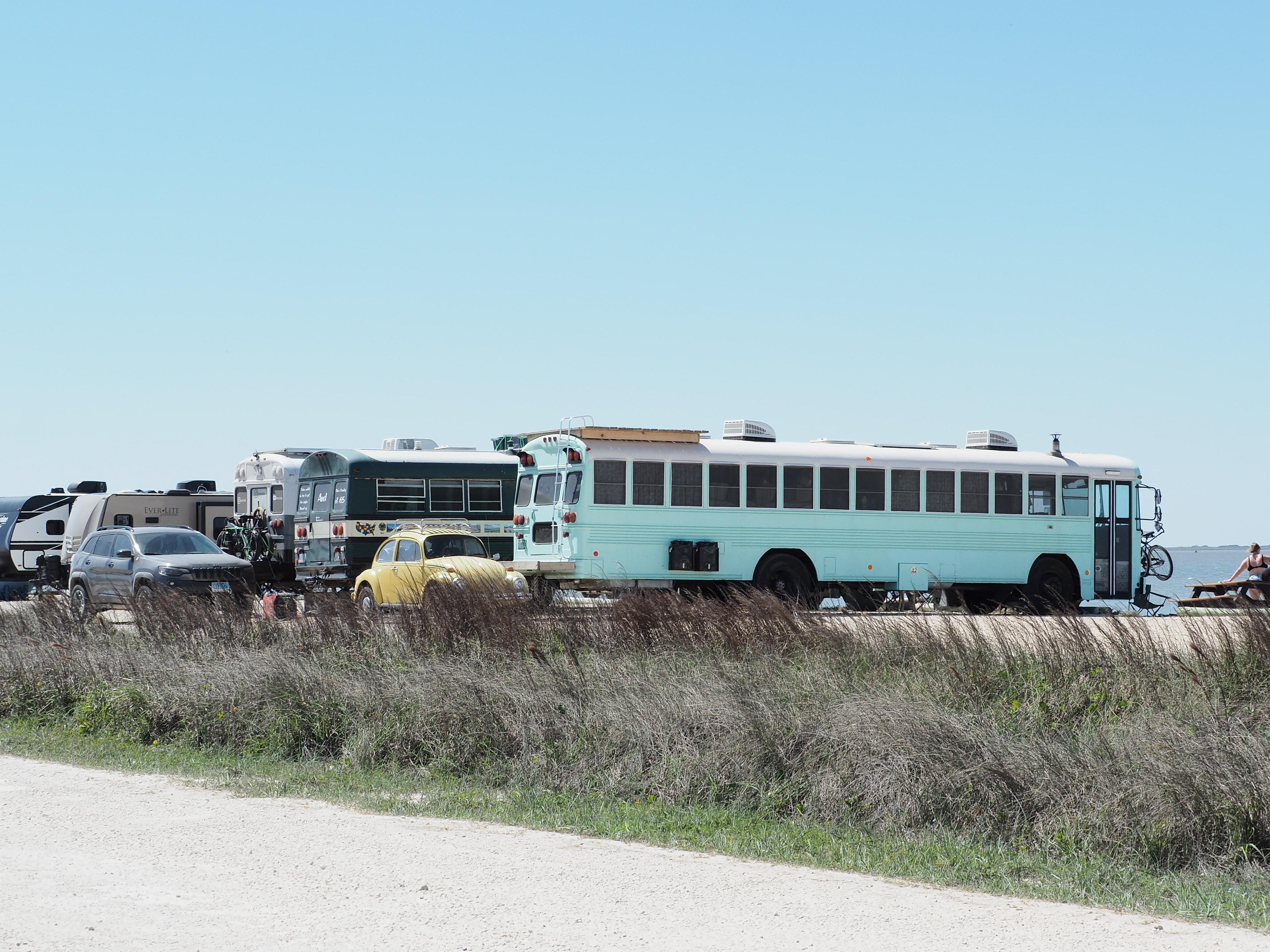 Three converted school buses are parked in a row at the campground.