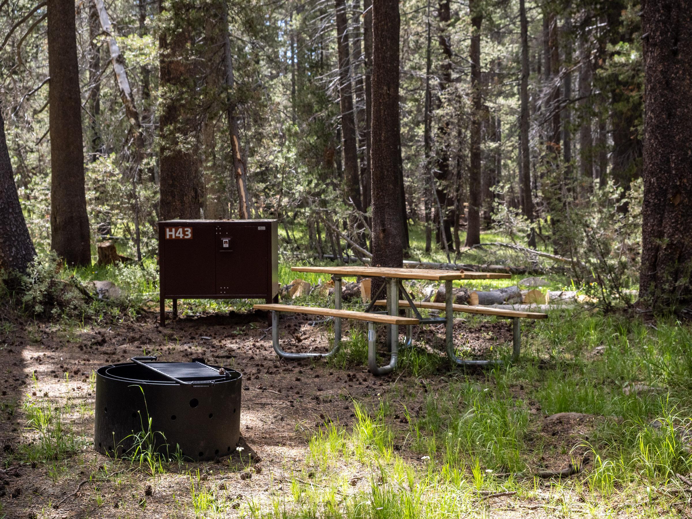 A grassy campsite with a bear food storage locker, metal fire pit, and picnic table