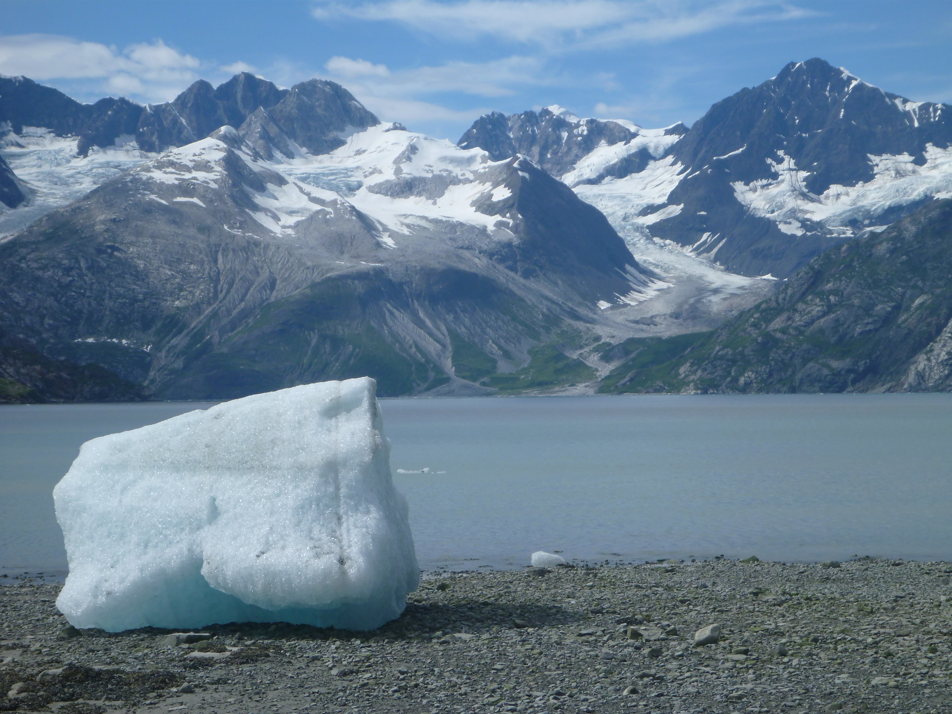 Icebergs, calved from tidewater glaciers are a common sight in Glacier Bay National Park.