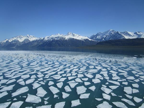 Pan ice in Tarr Inlet