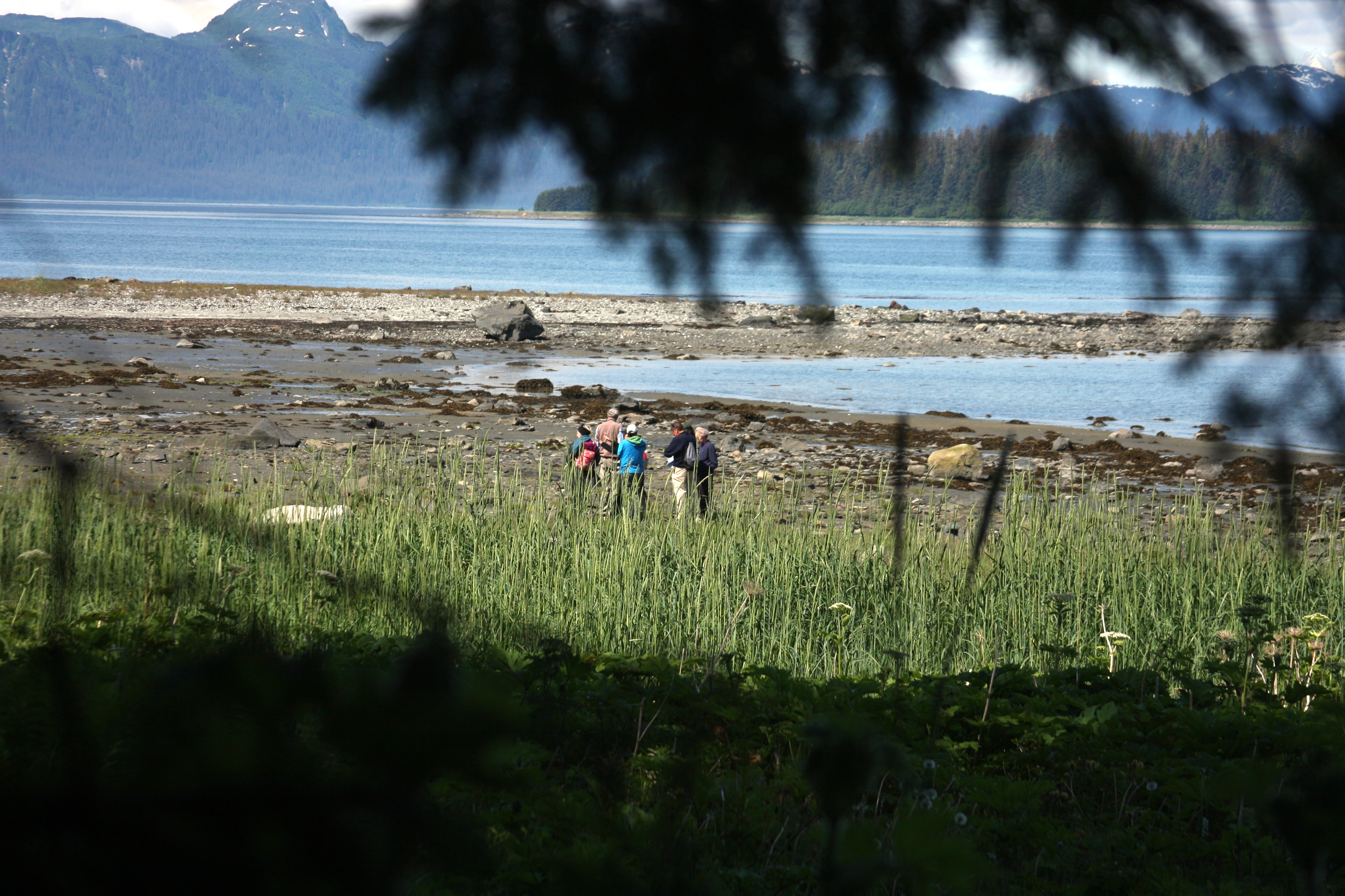 Nice views of the Bartlett Cove Shoreline