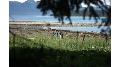Nice views of the Bartlett Cove Shoreline