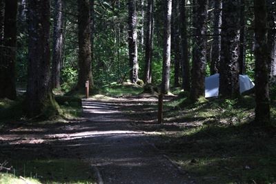 A serene location