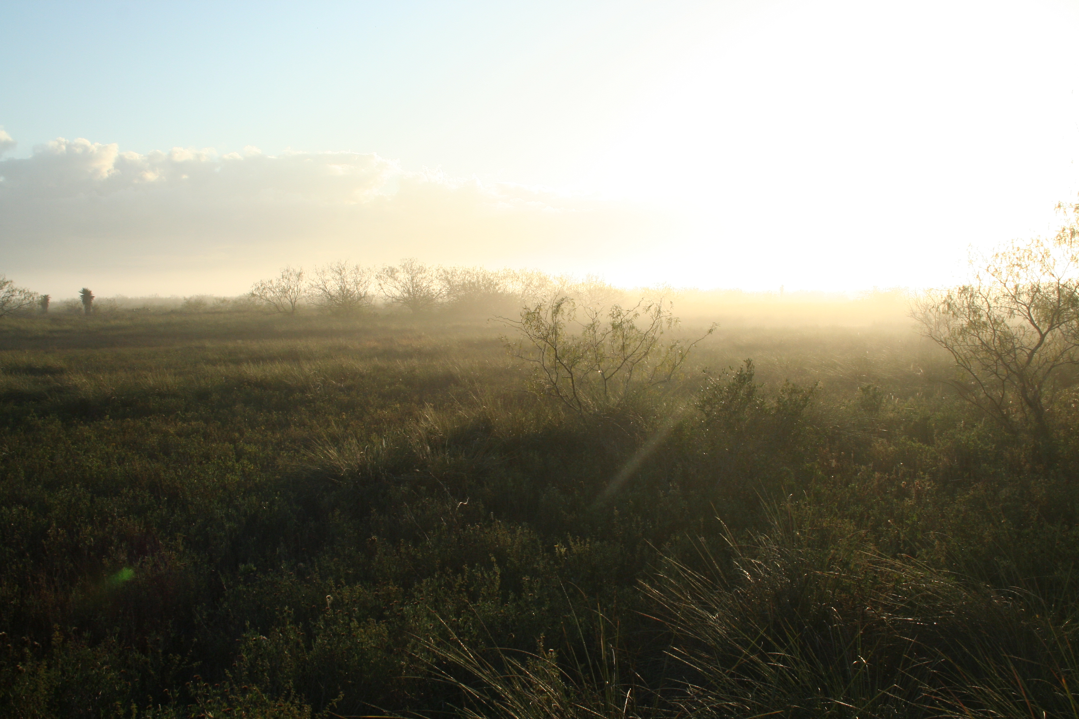 Sun rising over the battlefield