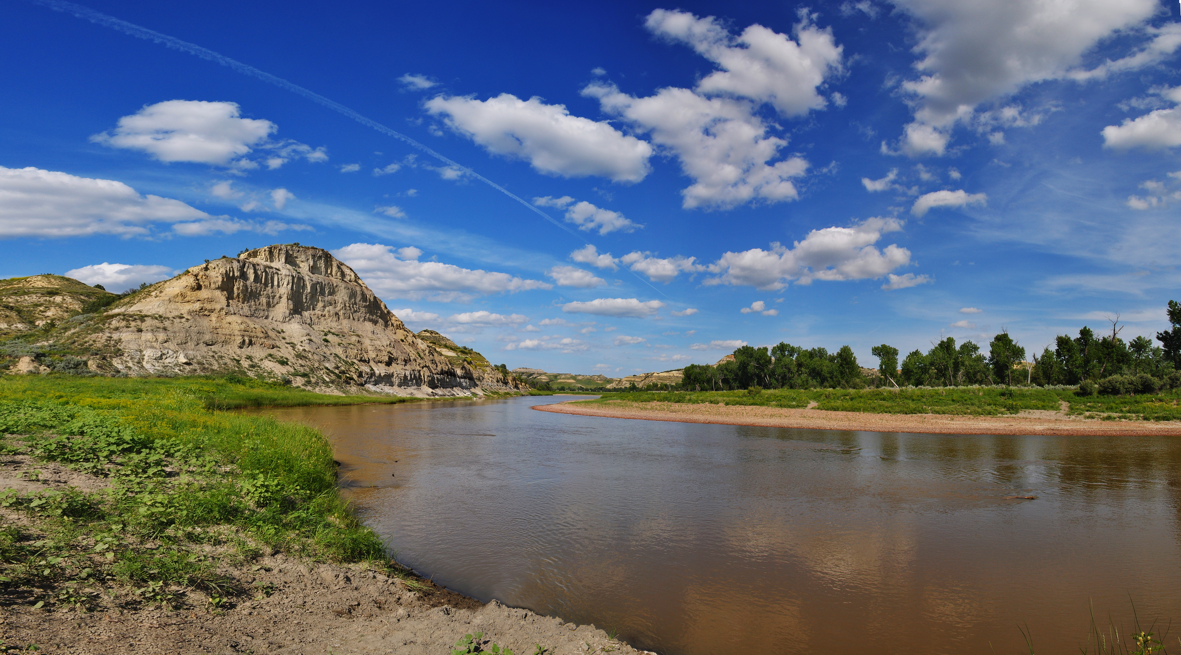 A muddy river bank lined with cottonwood trees and steep buttes