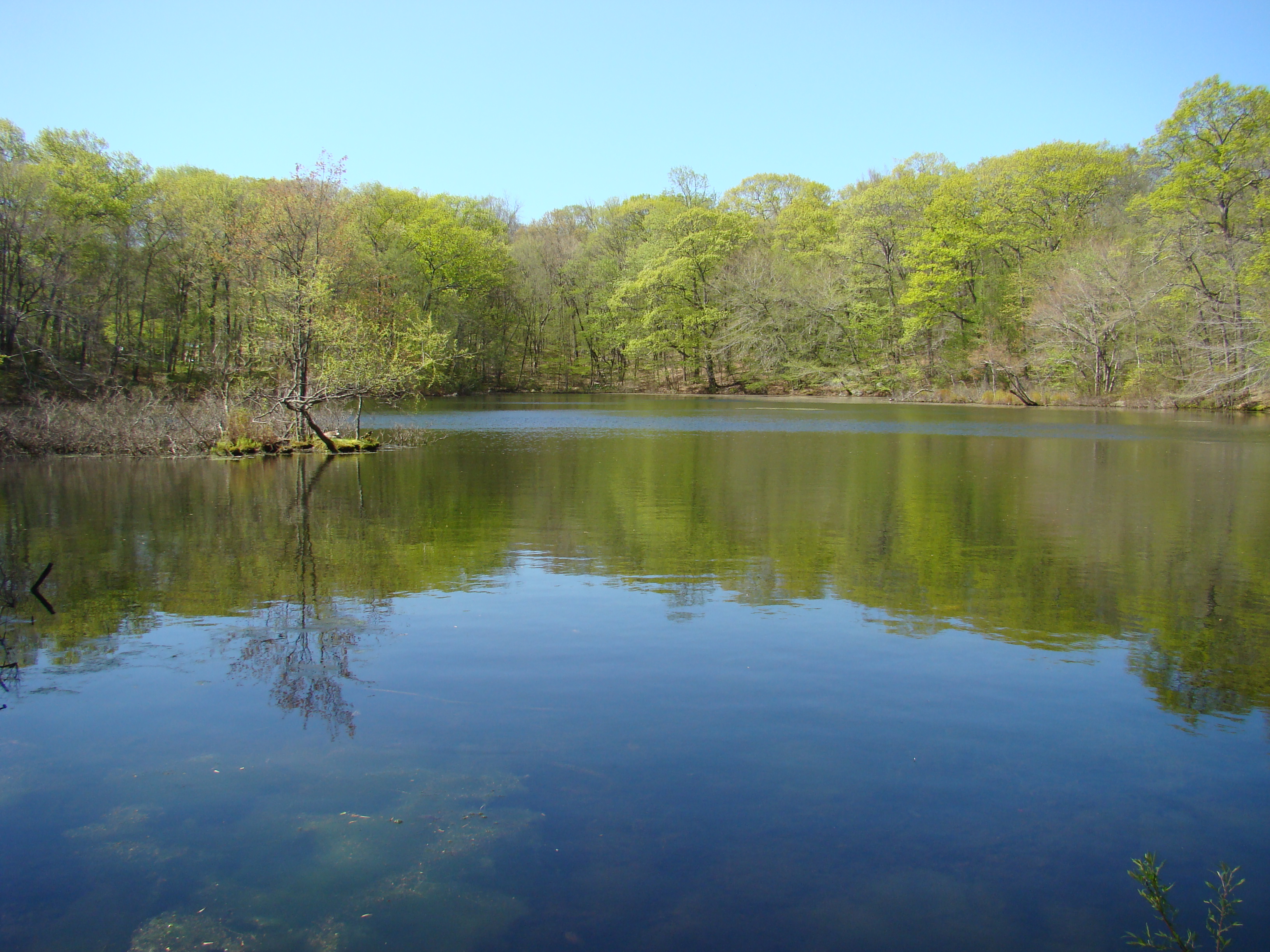 A large still pond in the foreground reflects the tree line that rims the pond.