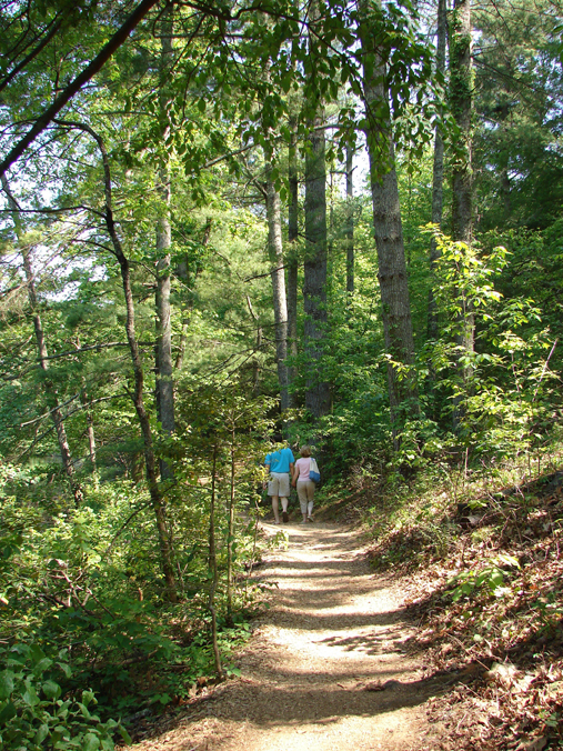Two visitors enjoy a stroll through the trees on a park trail