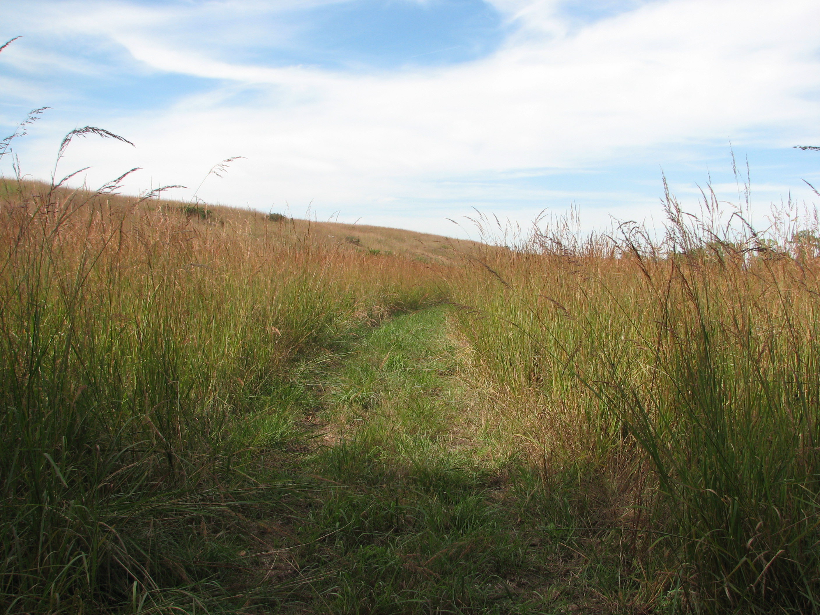 tallgrass hiking trails