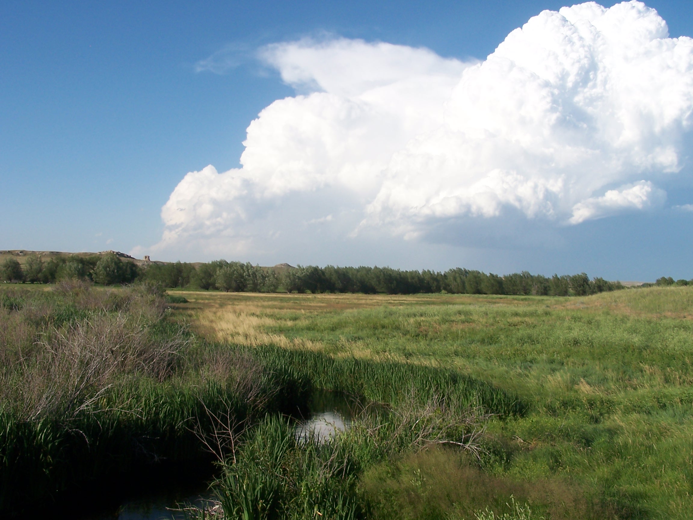 Thunderheads are common in July.
