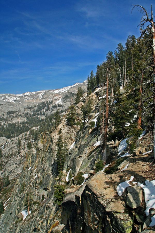 A steep granite slope climbs from forest into the bare alpine Tablelands of the High Sierra.