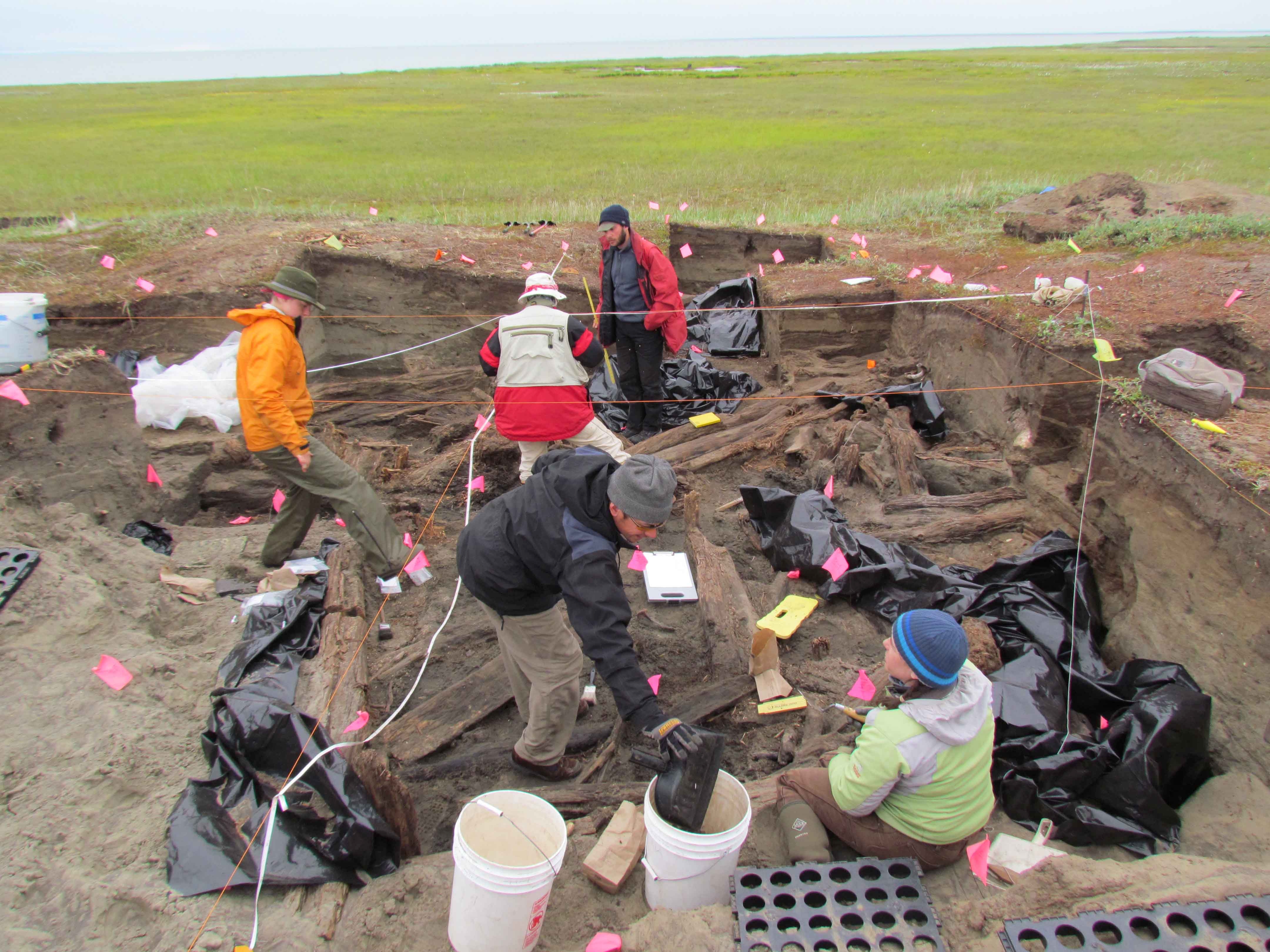 archaeologist digging