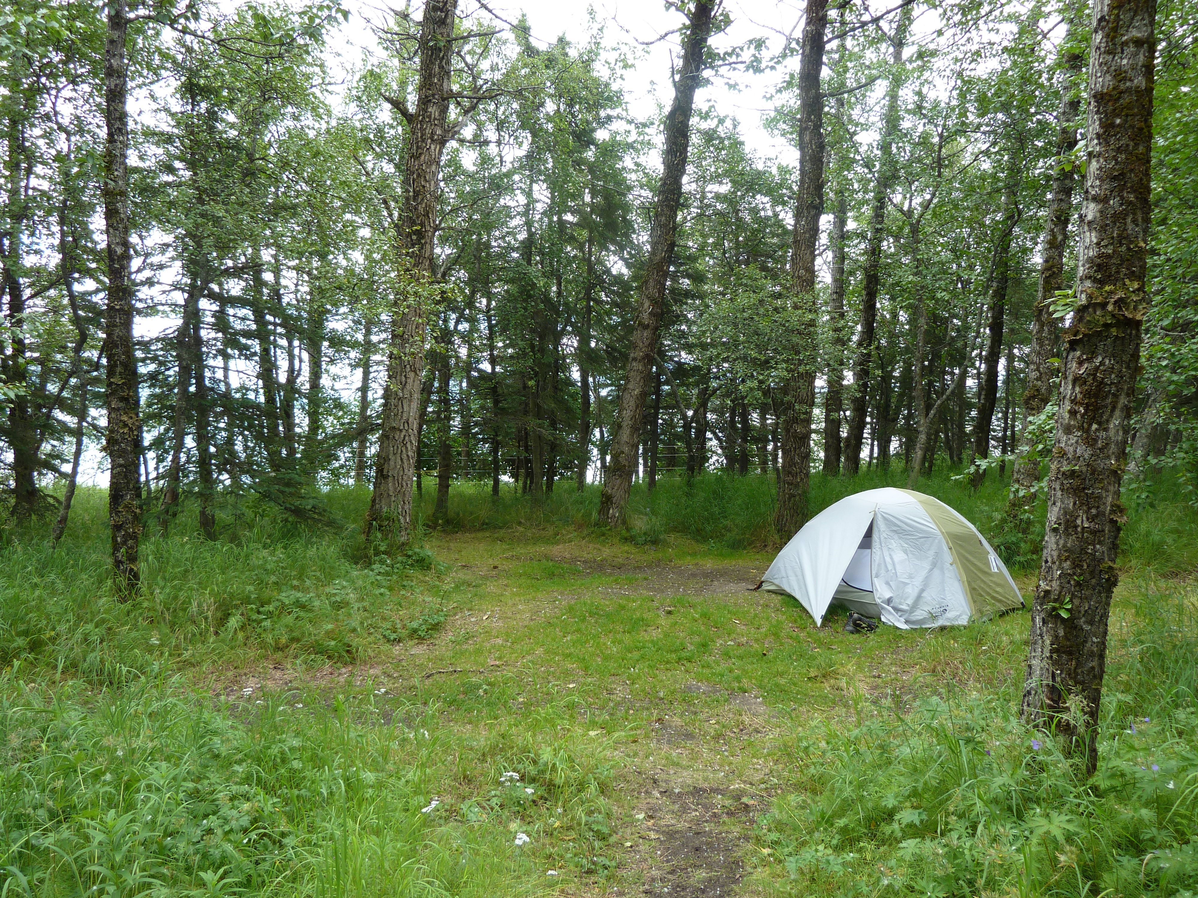 Tent in Brooks Camp Campground