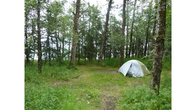 Tent in Brooks Camp Campground