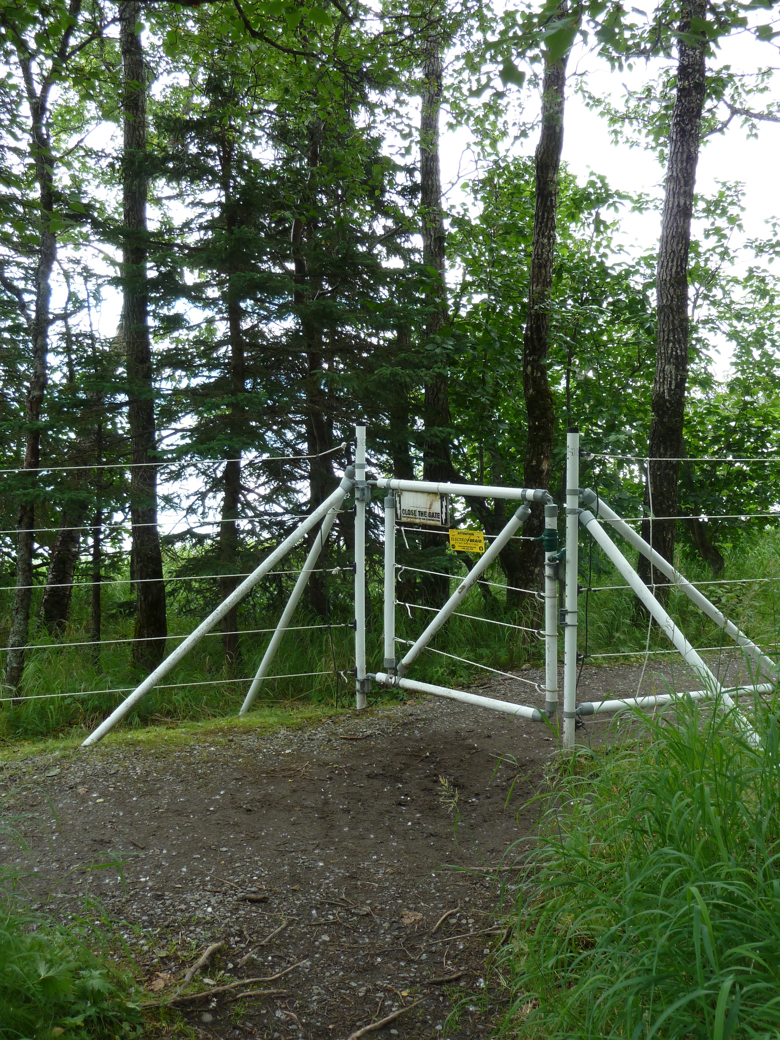 electric fence with gate for entry