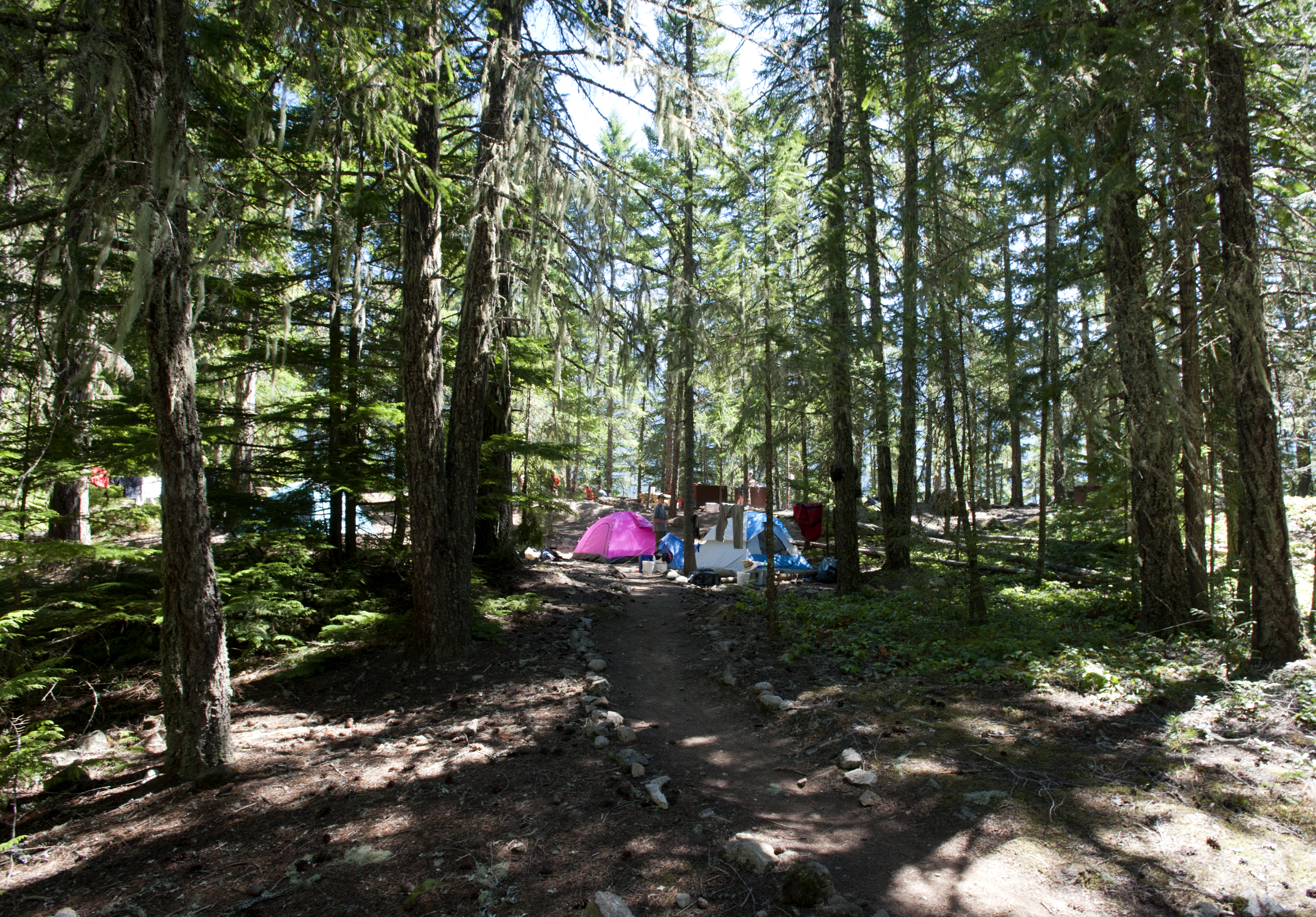 Tents set up in a wooded area.