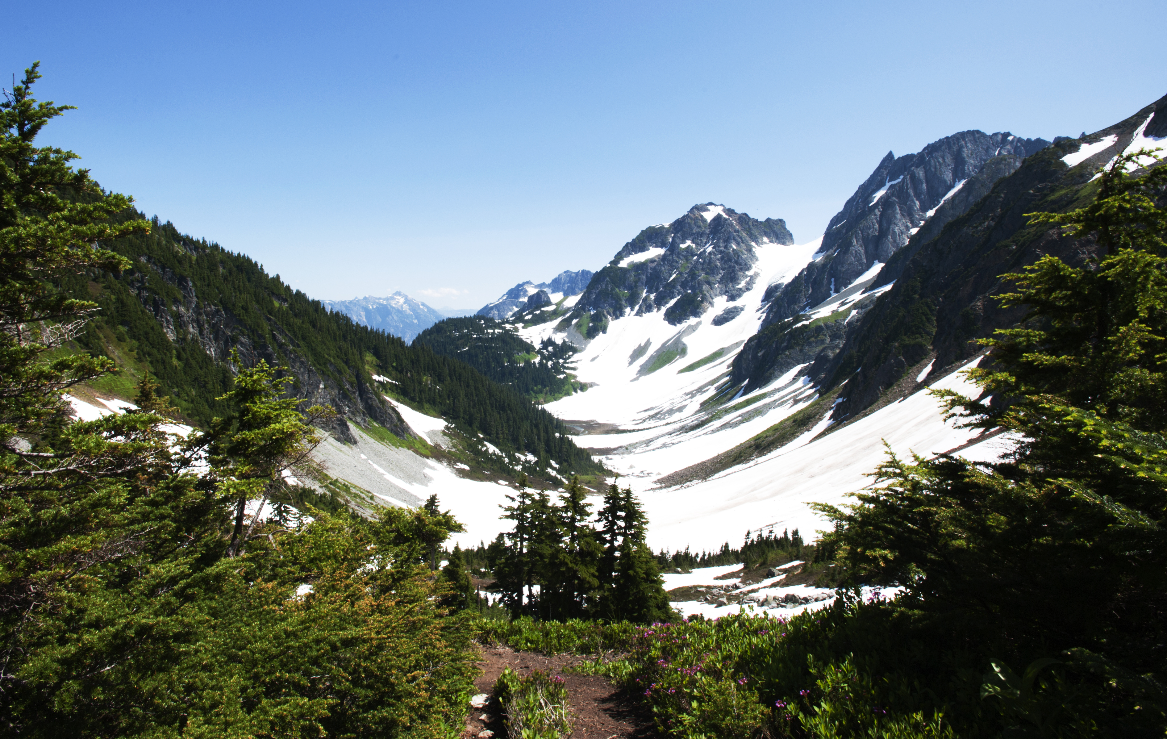 Trees surround the frame with glacier and mountains in the background