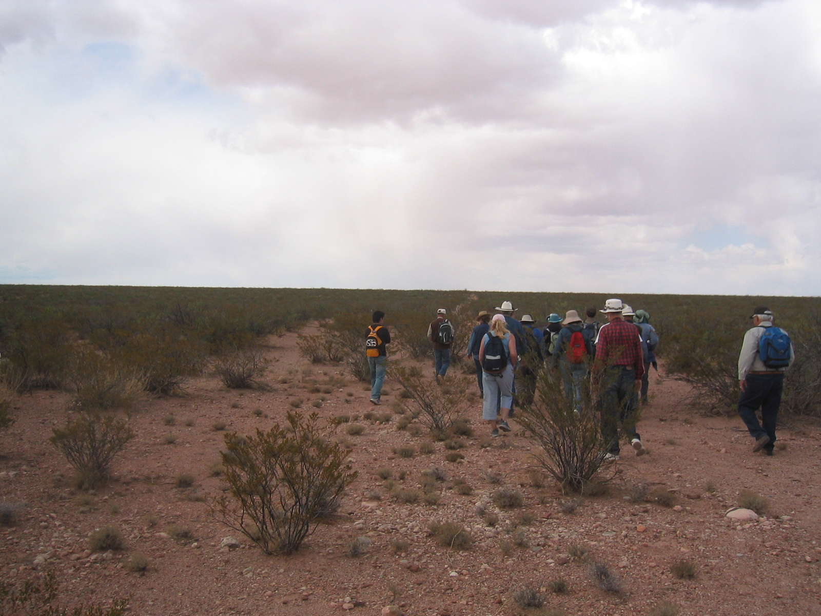 shrubby desert scene with people walking under a cloud-filled sky