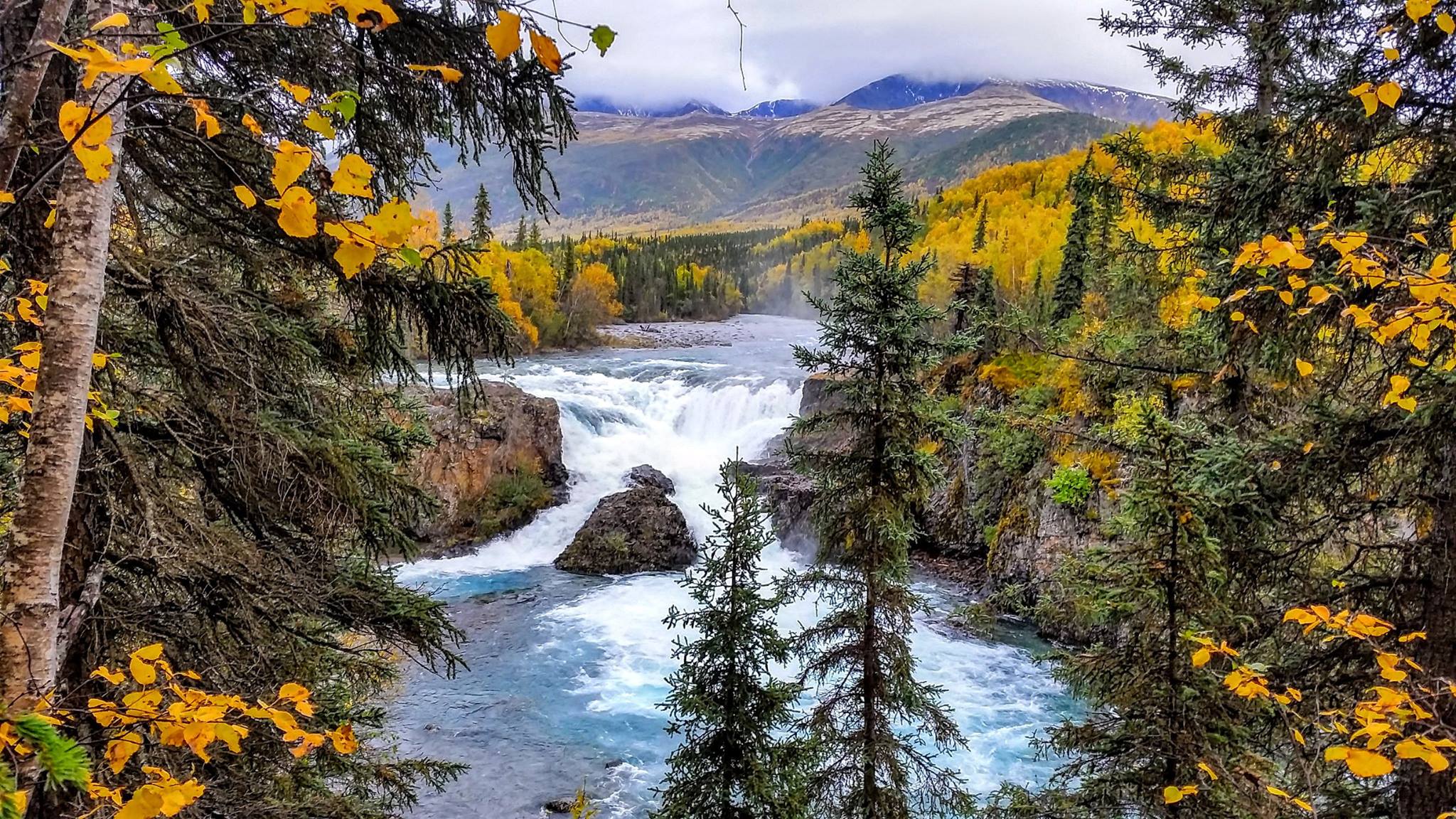 Waterfall surrounded by forest in fall foiliage and mountains in the background.