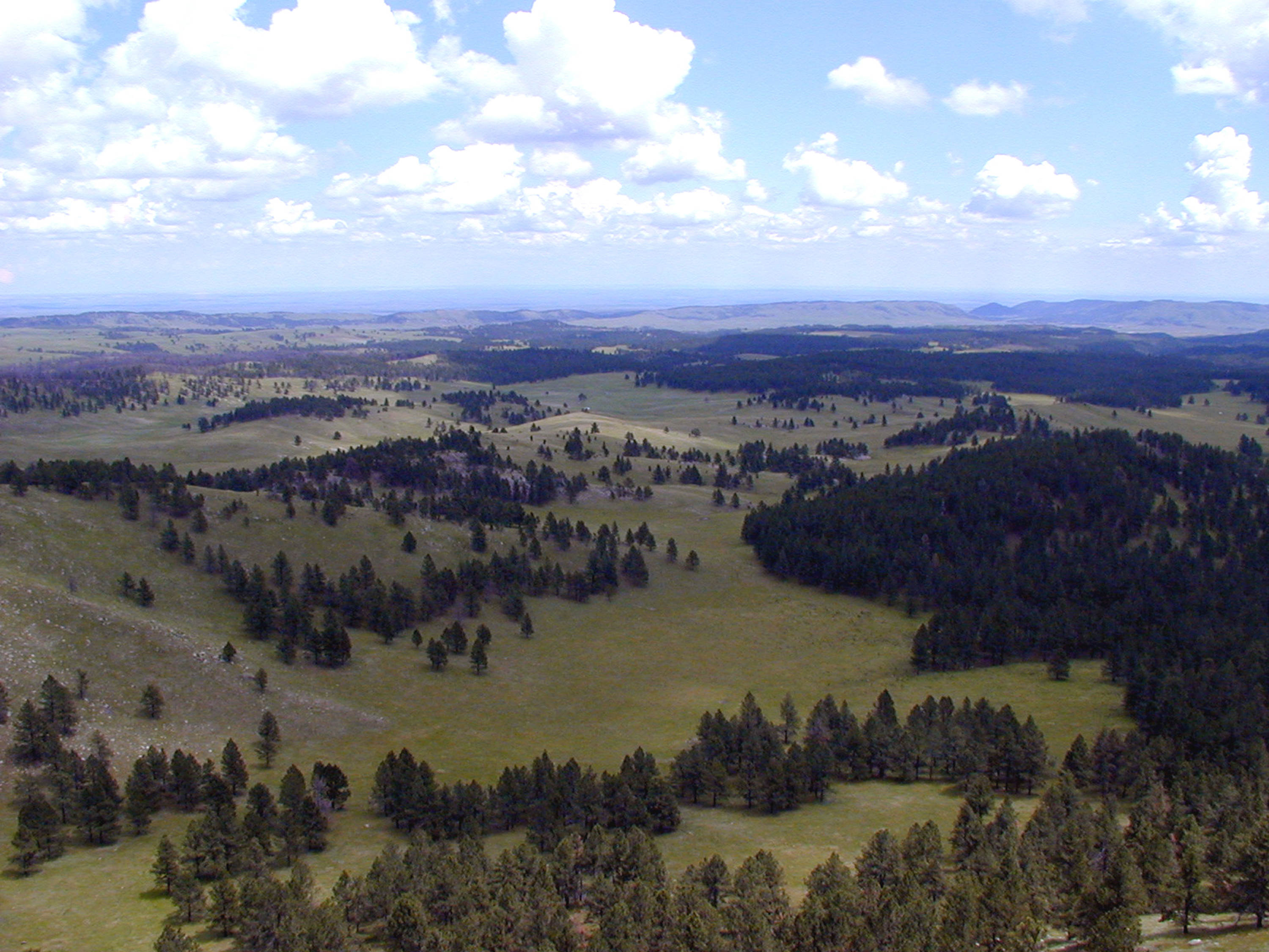 rolling hills of forest and prairie landscape