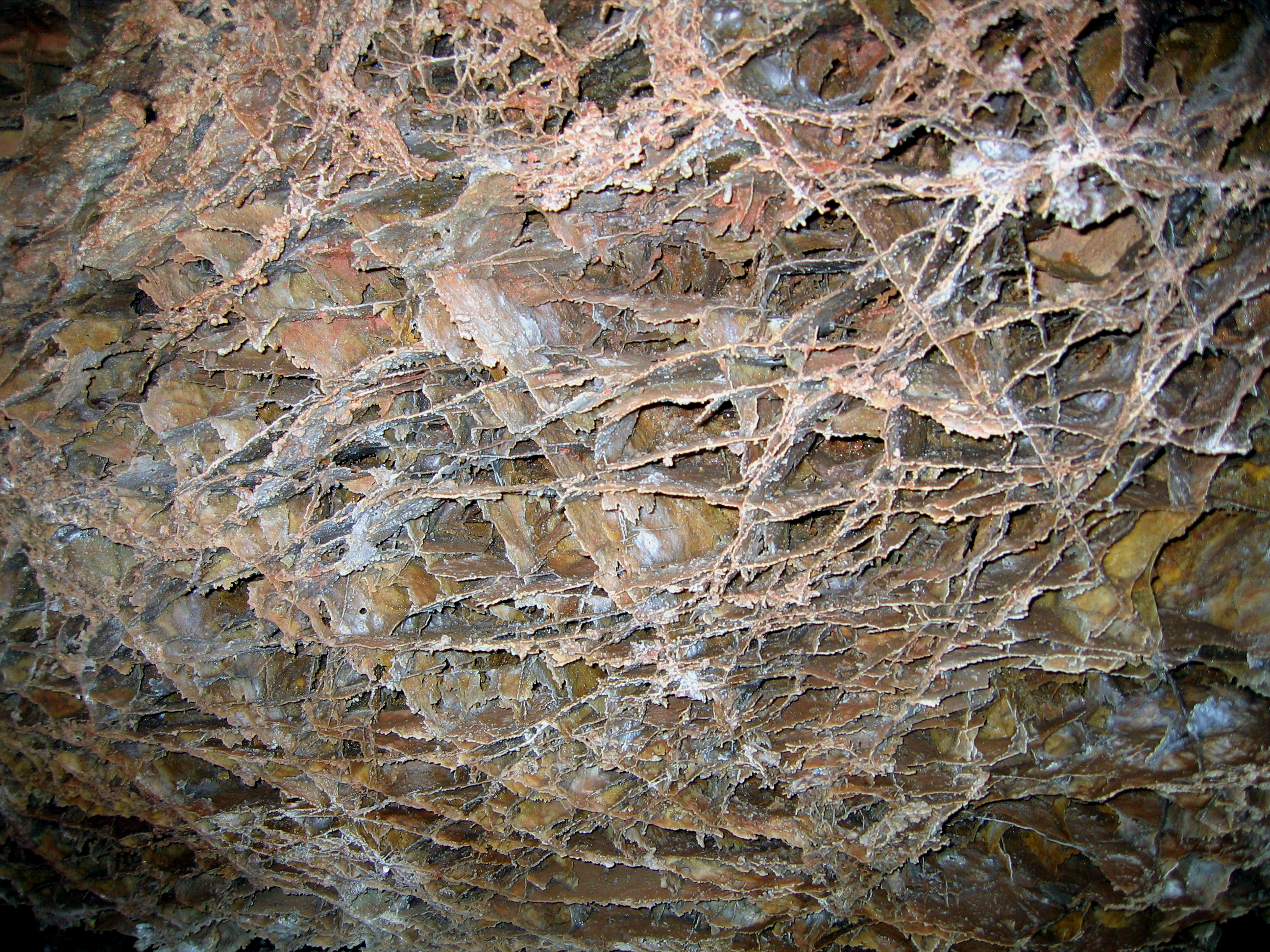 criss-cross-patterned calcite fins of the cave feature boxwork
